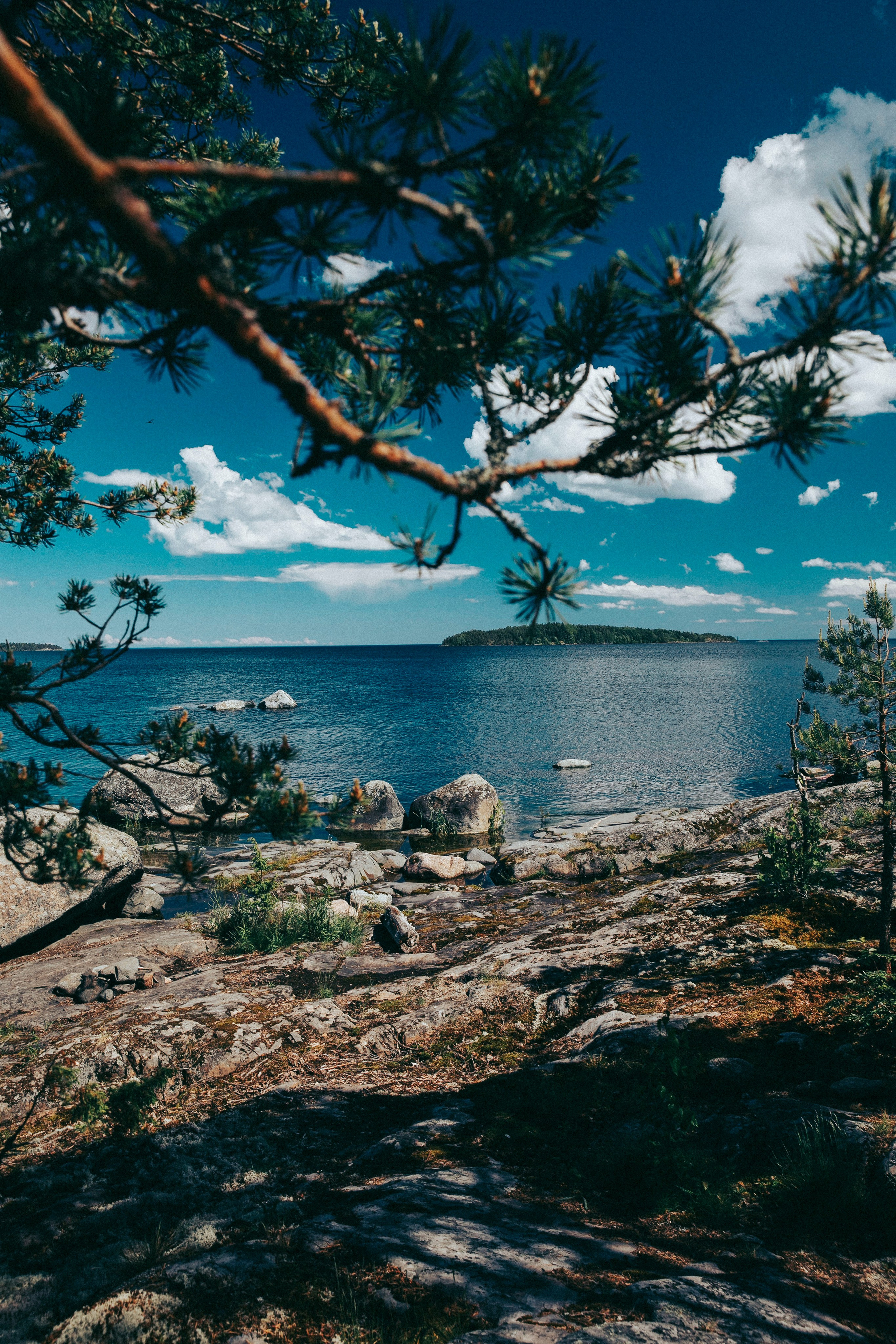 Папа и дочка. Фотограф в Москве Шаганова Нина