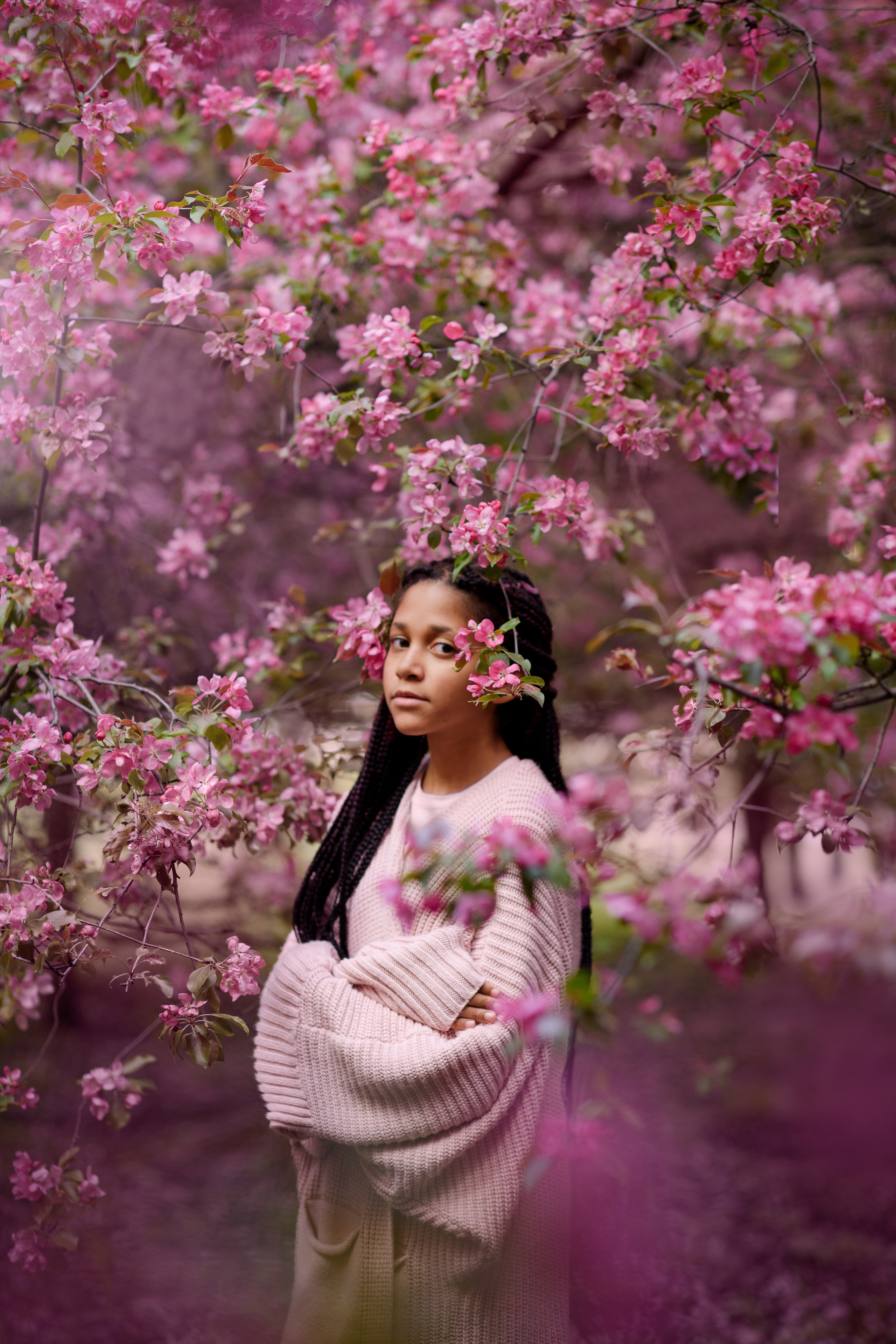 Яблони в Коломенском. Ясмина. Главная