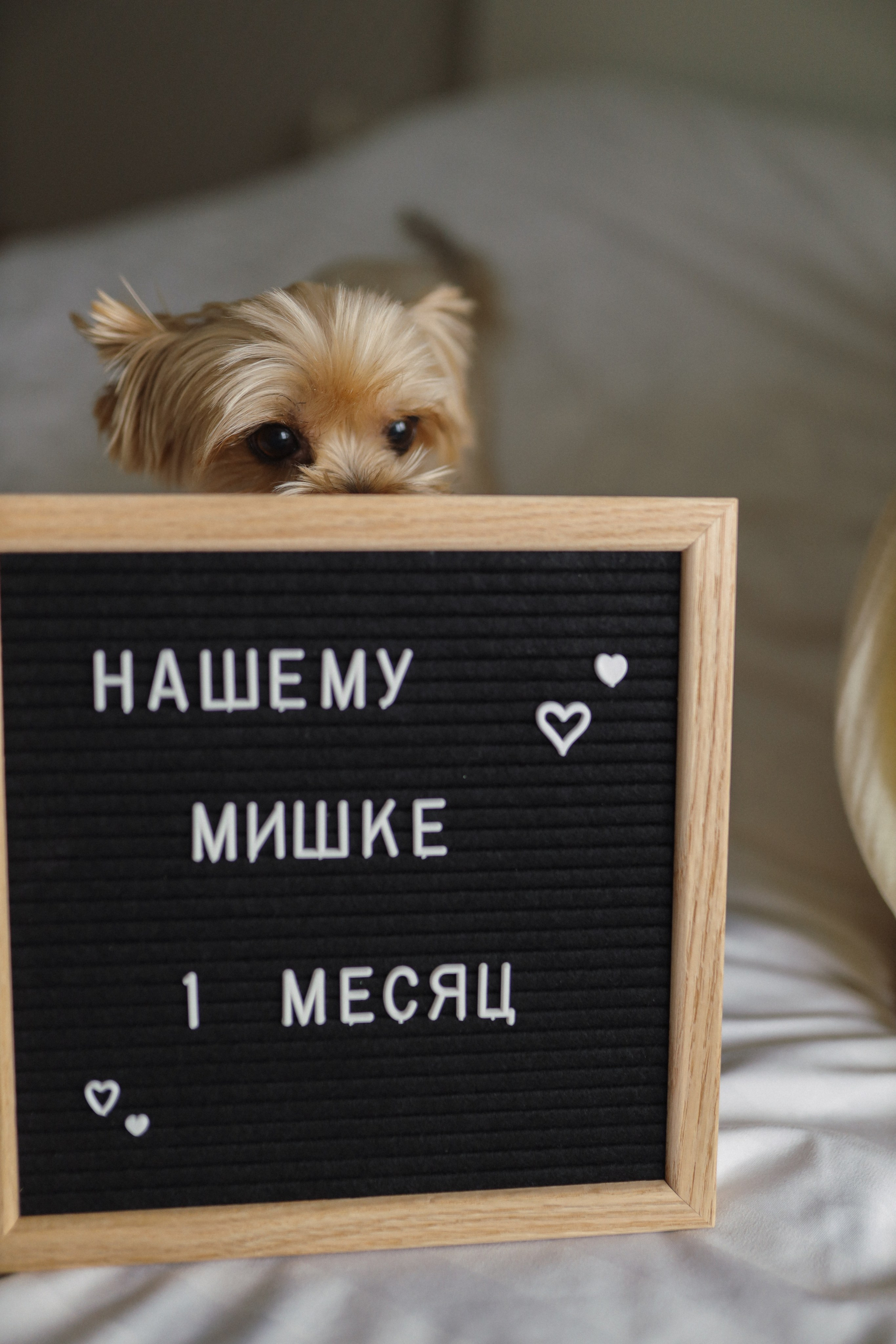 Миша. 1 месяц🤍. Фотограф на роды в Санкт-Петербурге, семейный, нью-борн Алиса Хрекова