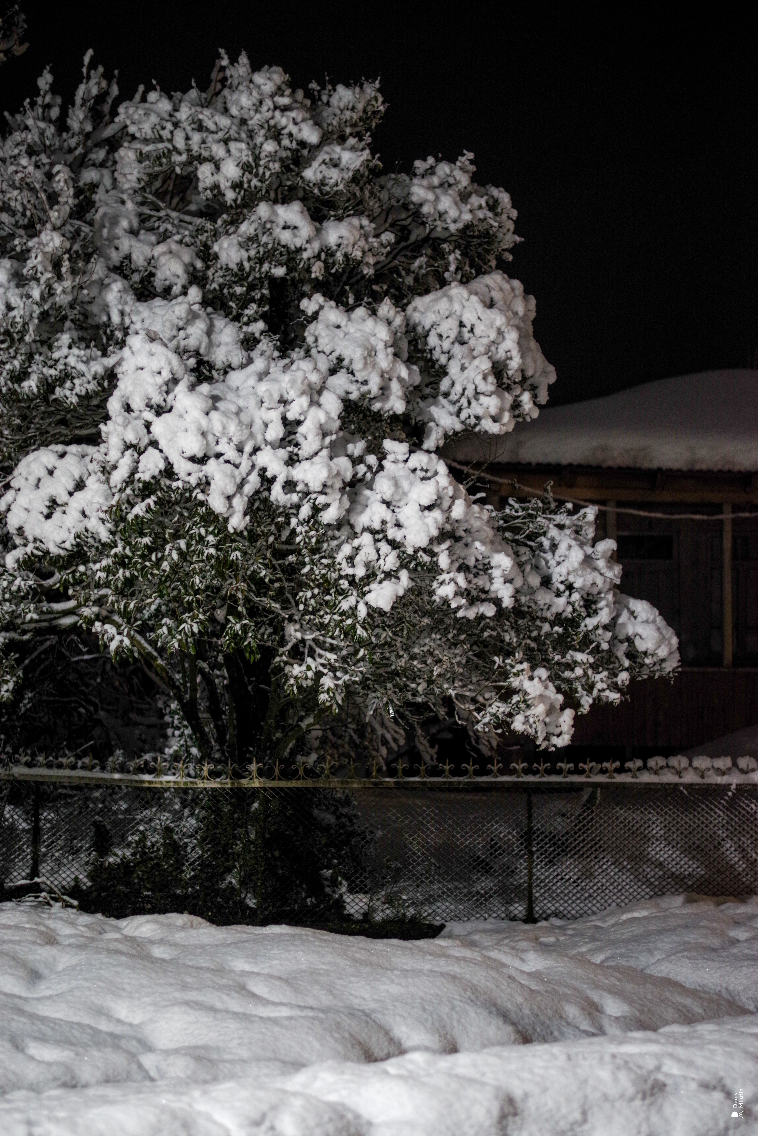 Ночь в Менджи. Портретный фотограф Денис Милютин