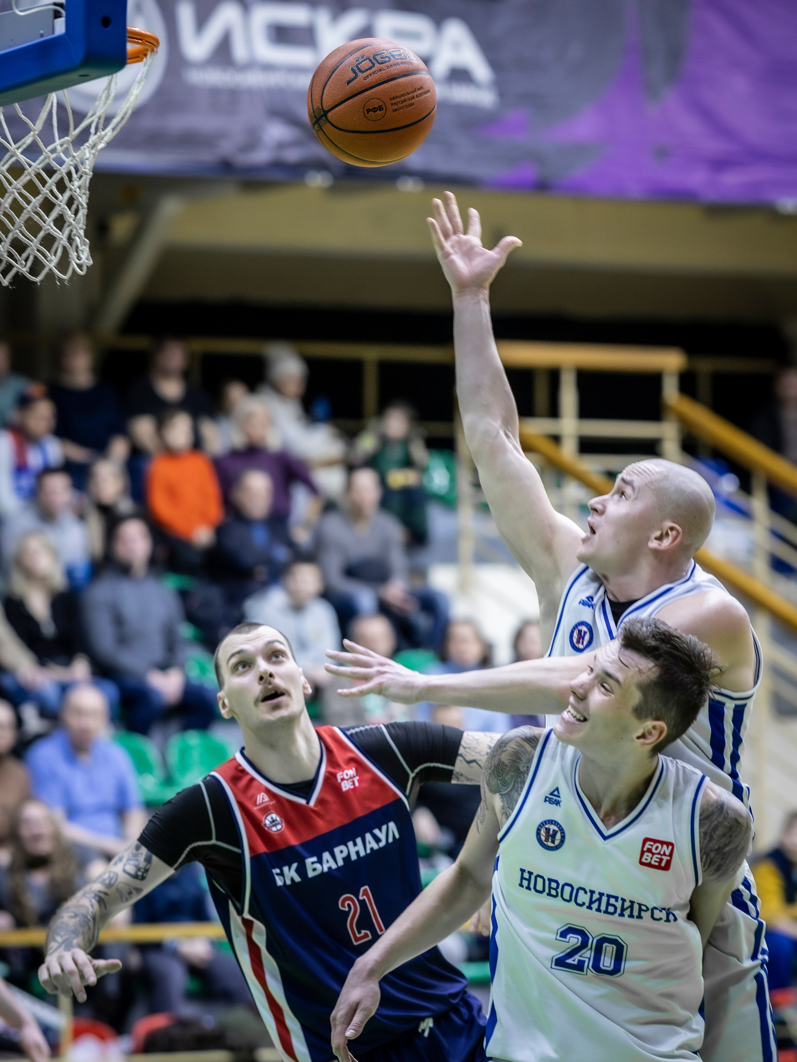 БК Новосибирск. Bertran Ordo