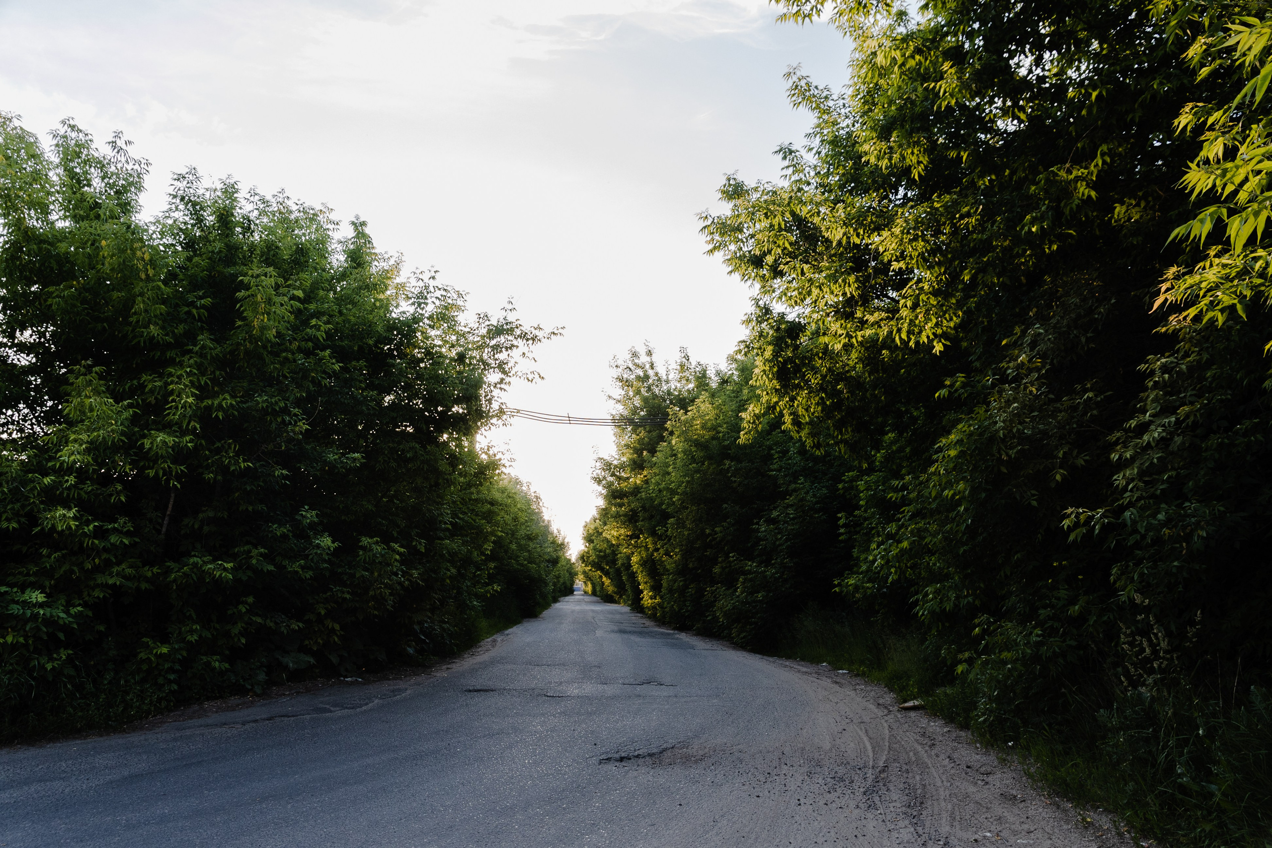 Открытый мир. DASHA KALNINA