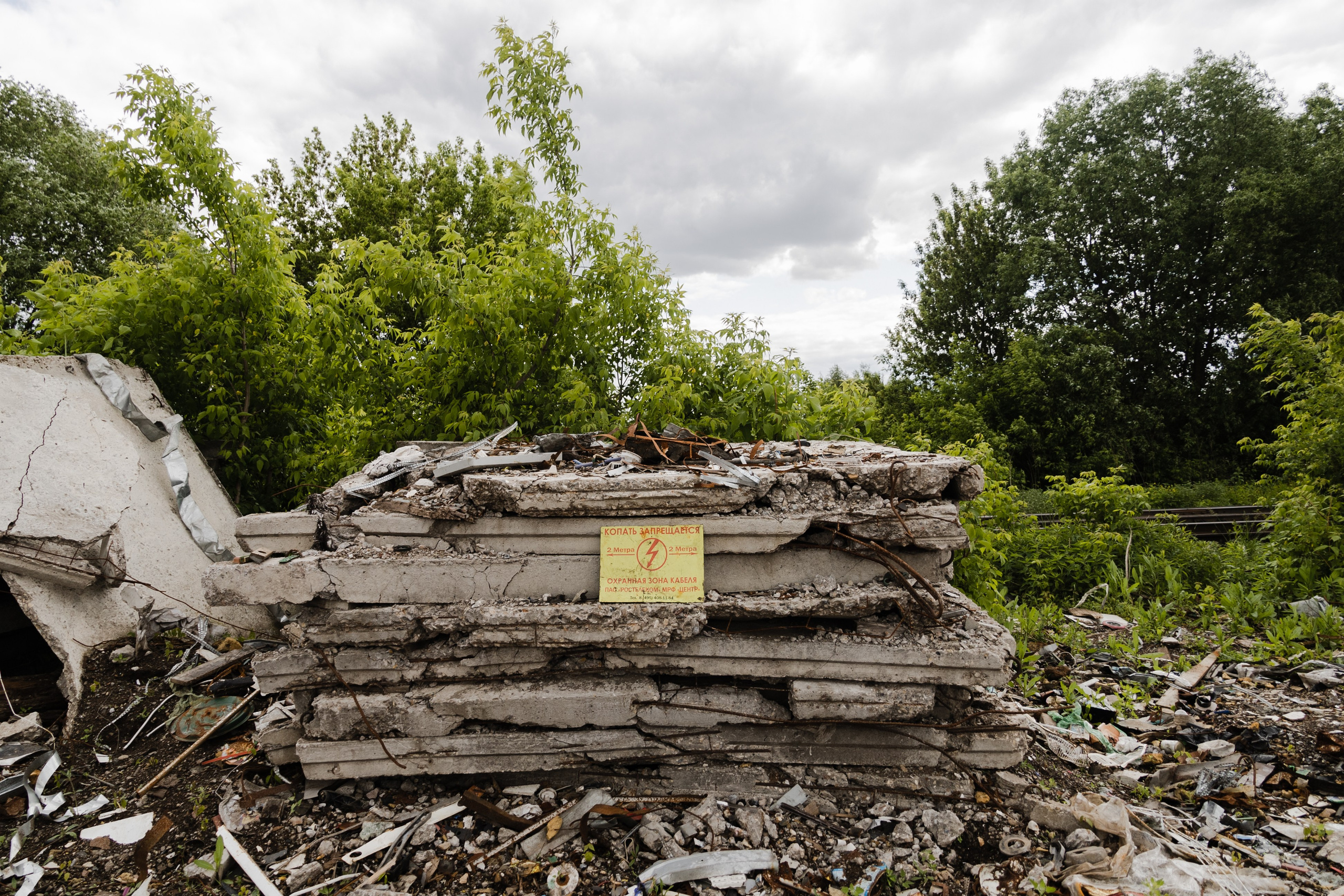 Открытый мир. DASHA KALNINA