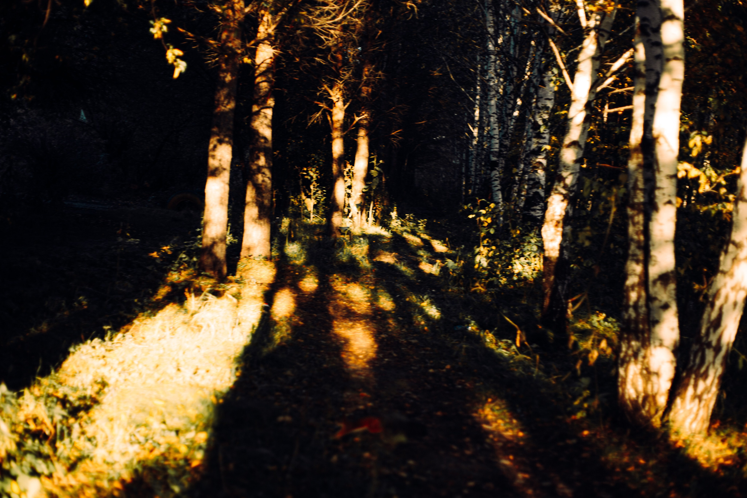 Хиппи. Единение с природой. Арт-фотограф Крис Л. в Тобольске: портрет, семейные, свадьбы