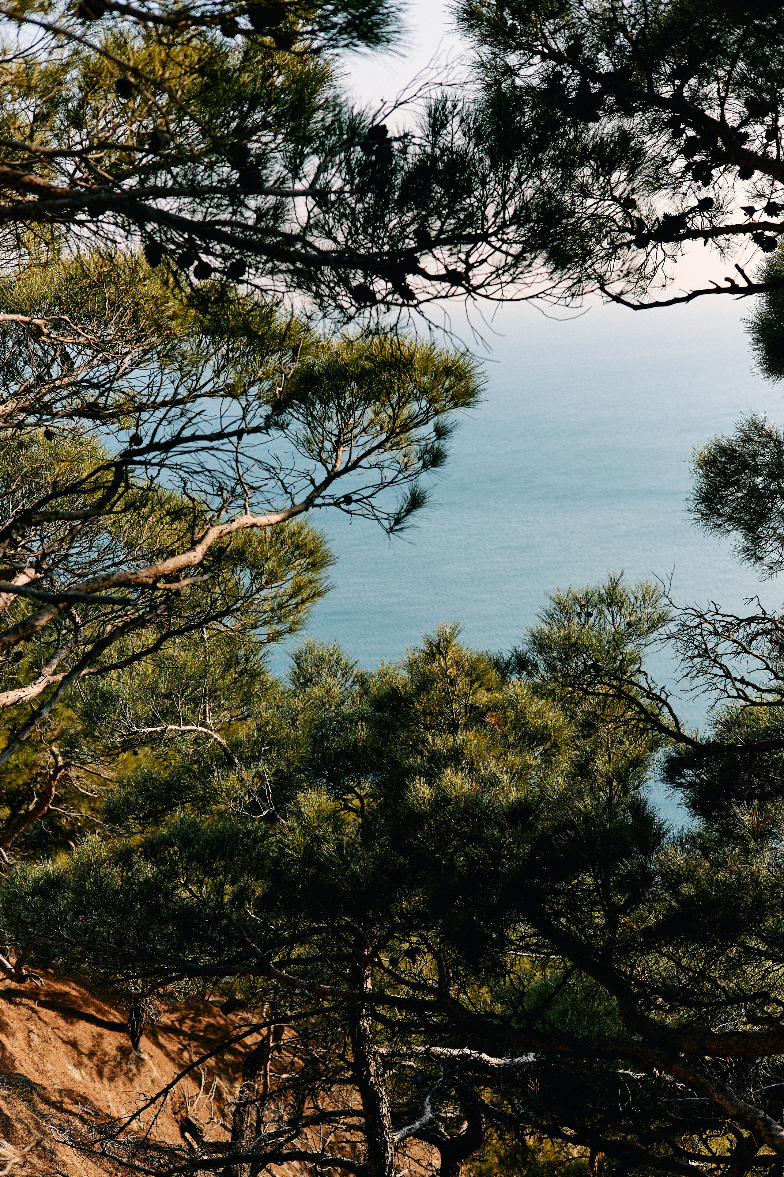 Юг России. Профессиональный Фотограф во Владимире, в Москве и в Суздале — Полина Романычева