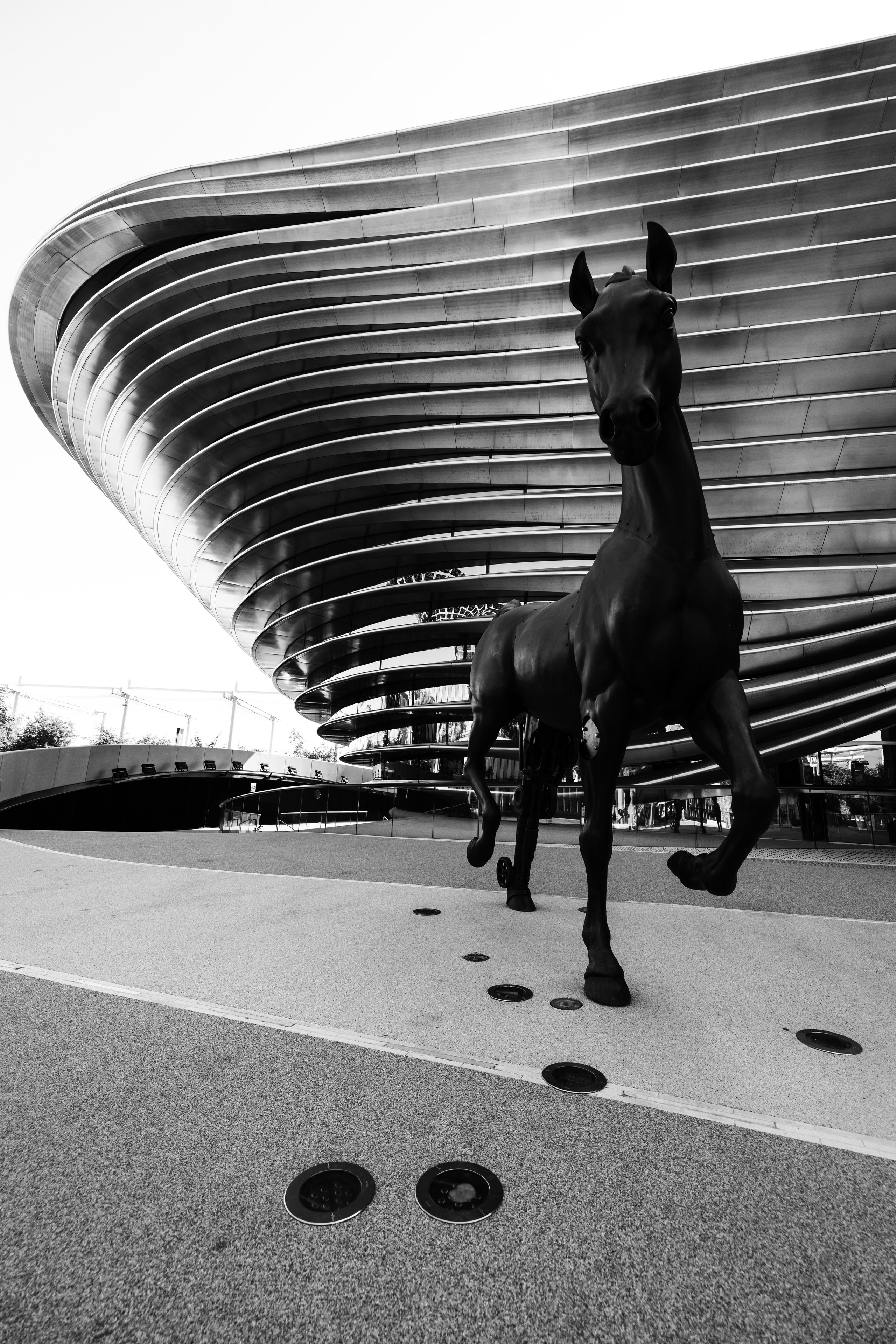 Дубай 2023. Руслан Плахтеев