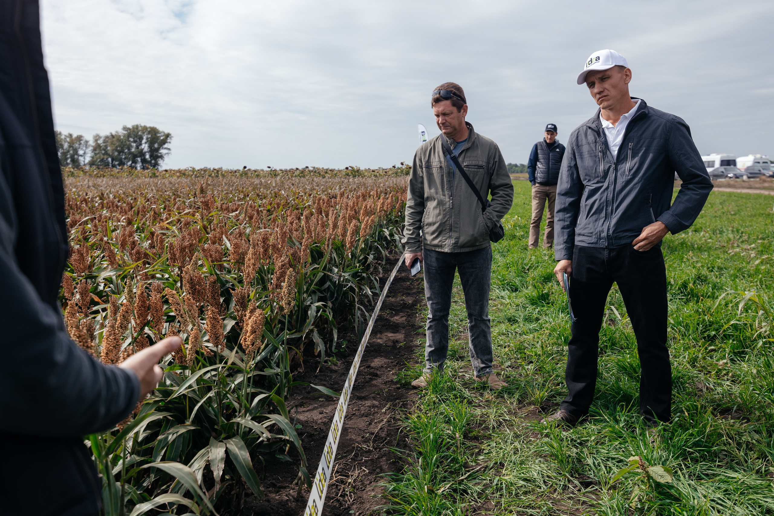 День поля. Фотограф Крохин Олег
