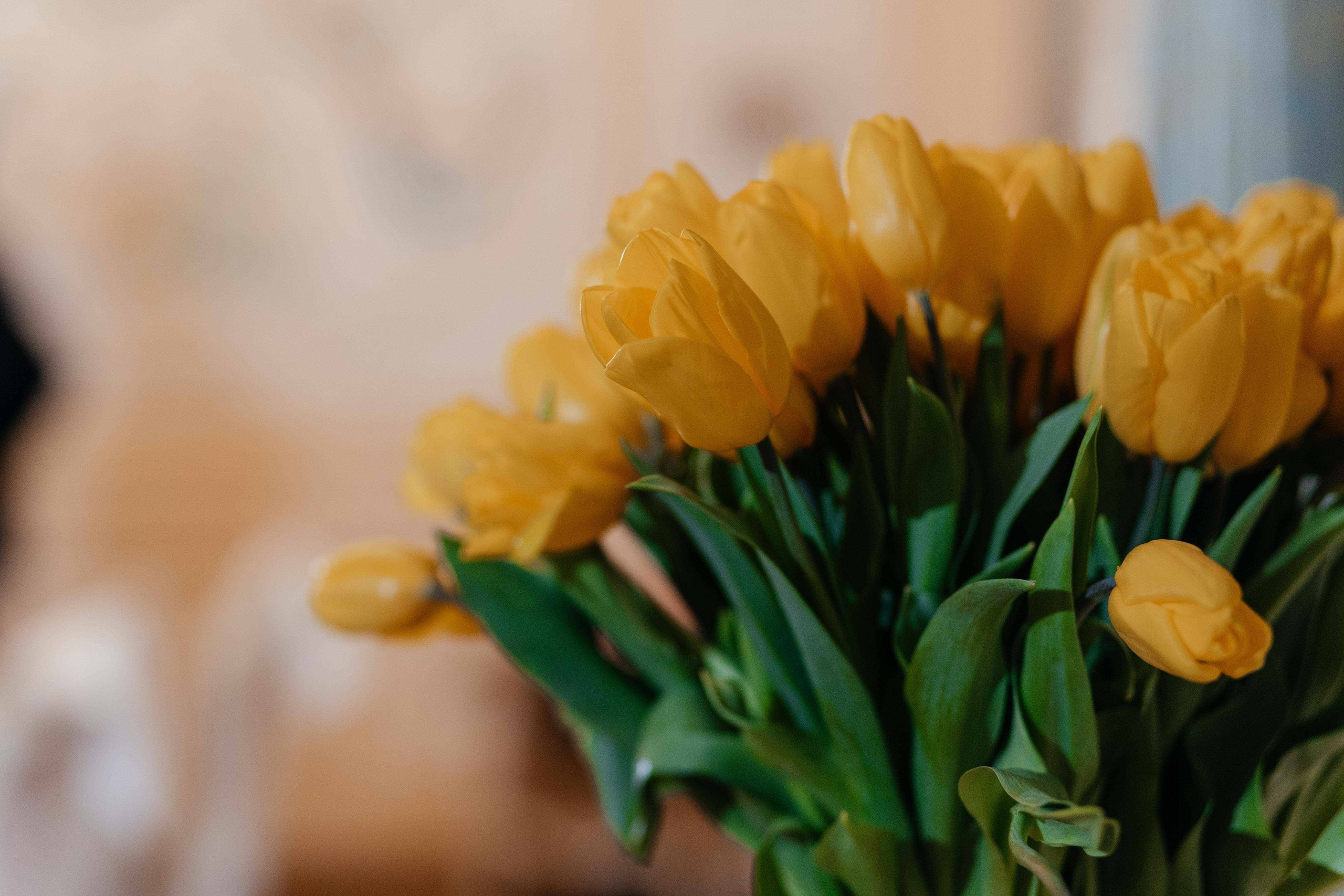 Юбилей 80. Фотограф Крохин Олег