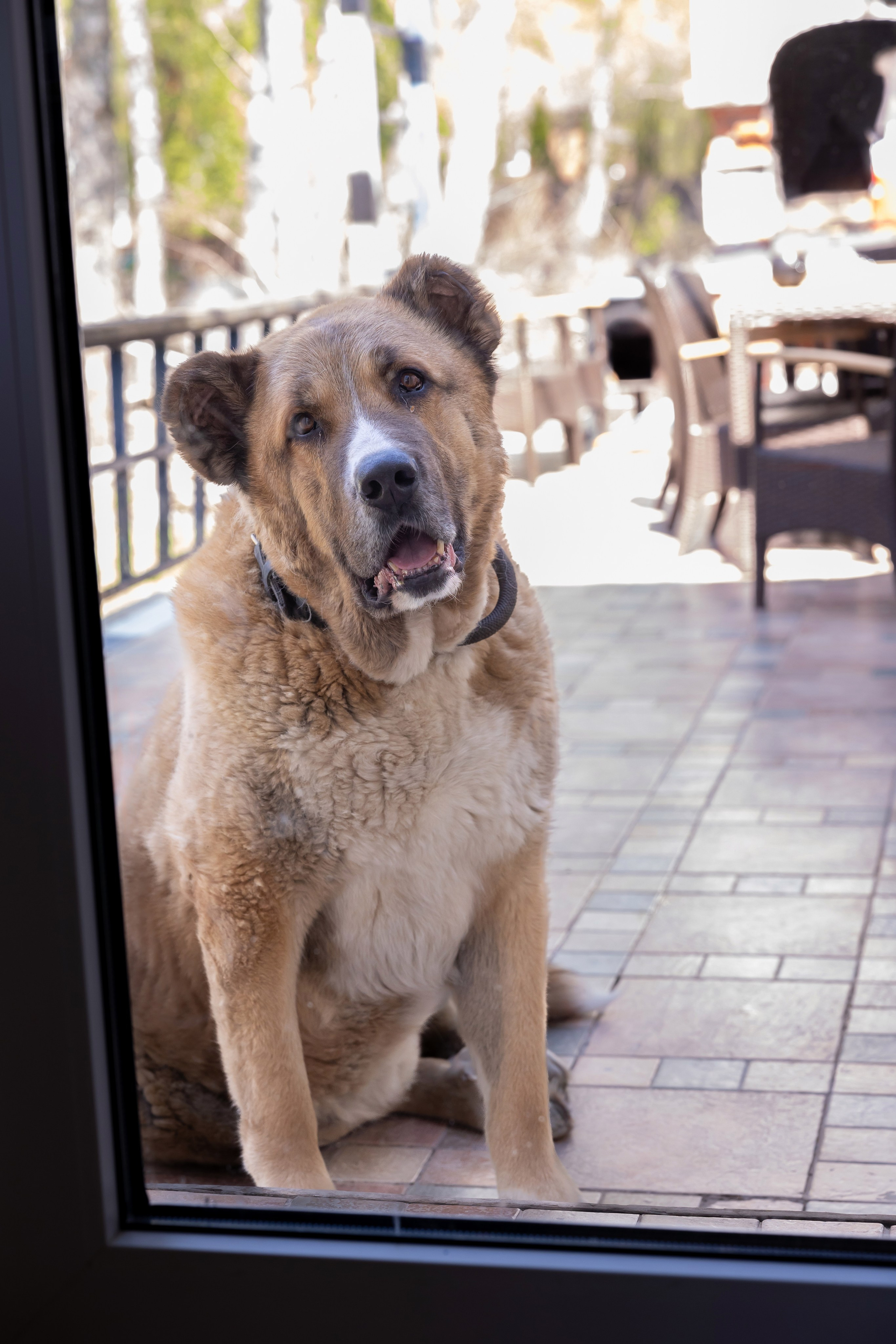 С праздником Великой Пасхи!. Сказочный фотограф для Вас и Вашей семьи