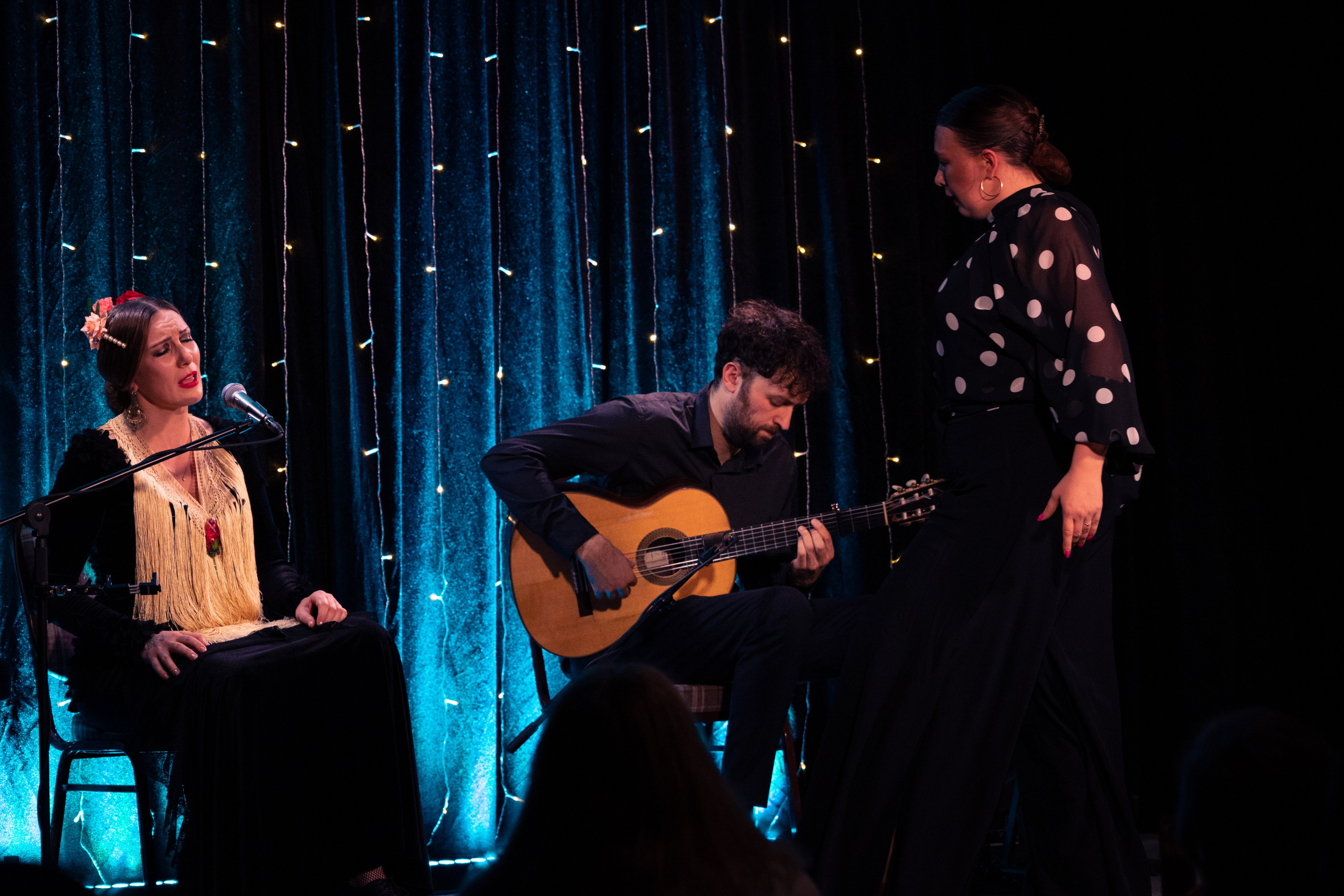 Flamenco 02.01.2025. Индивидуальные съемки, портретный фотограф