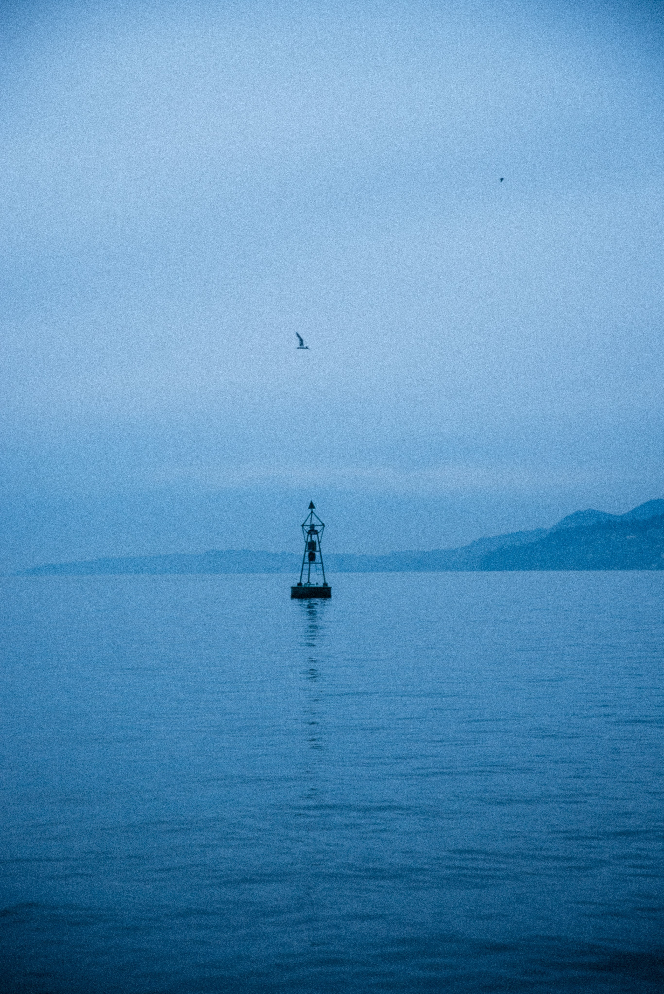 Батуми, Грузия🇬🇪. Anita_photo