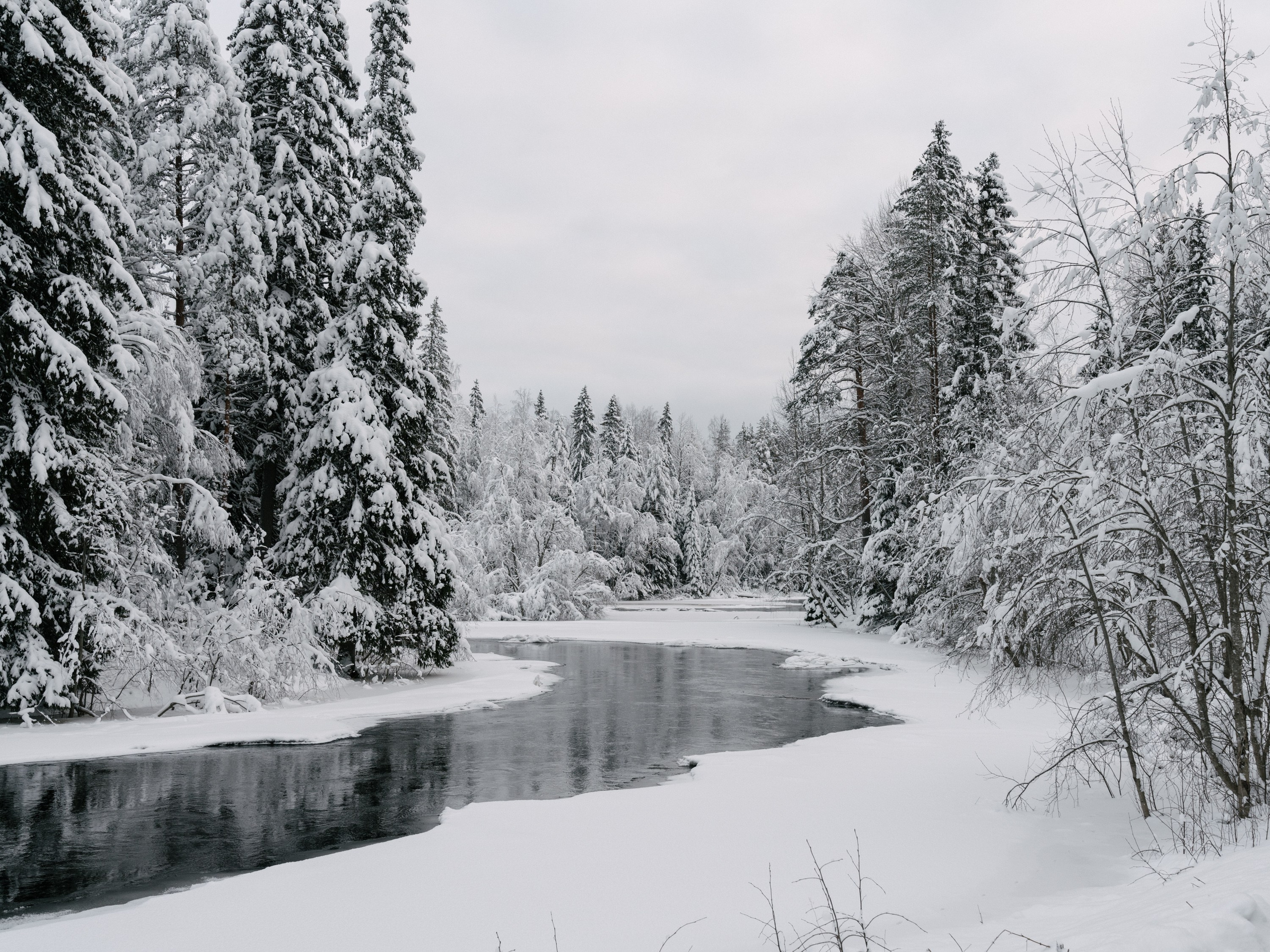 Песни её стороны. Pavel Basin