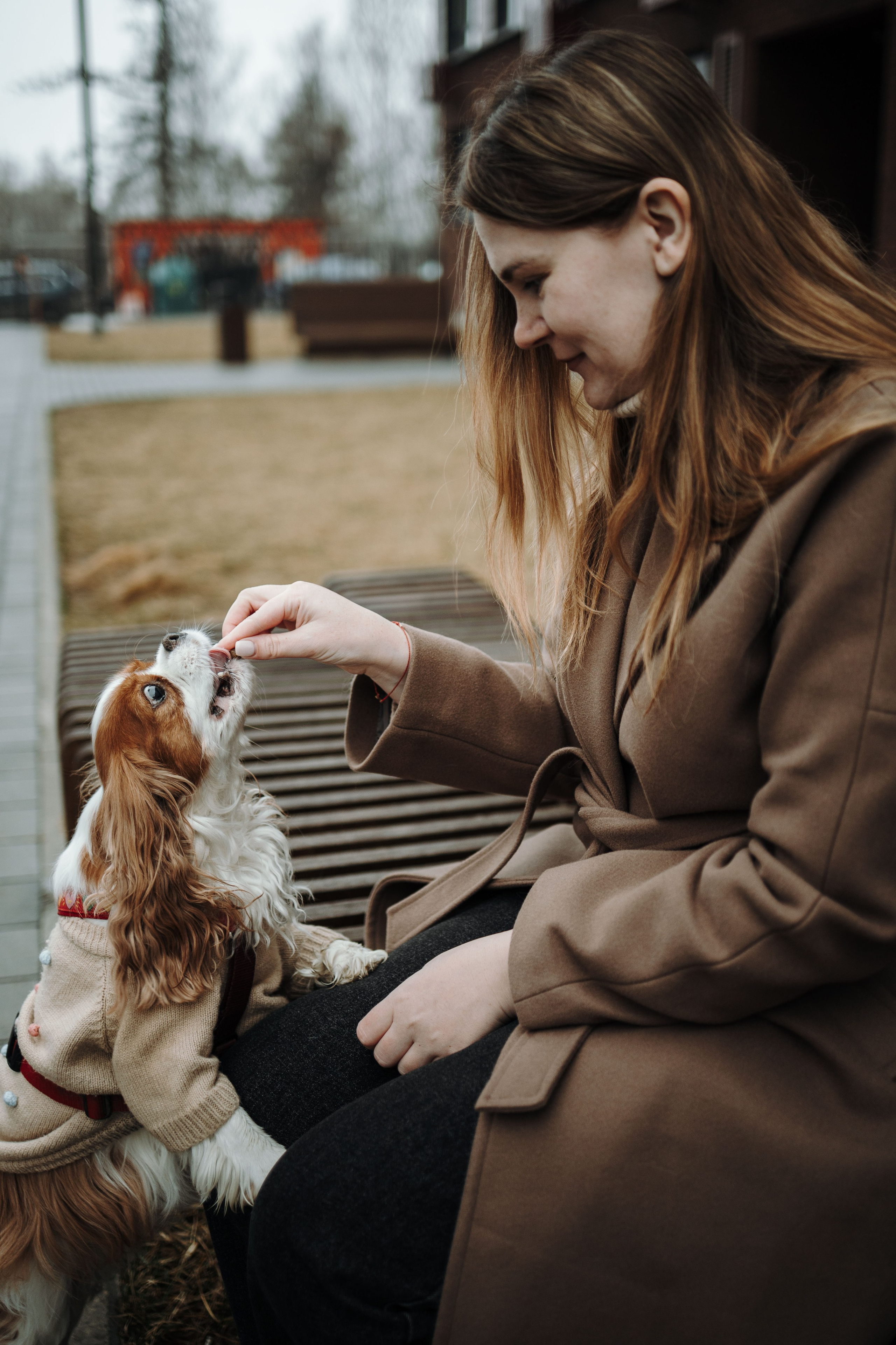 Любовь и Альтаир