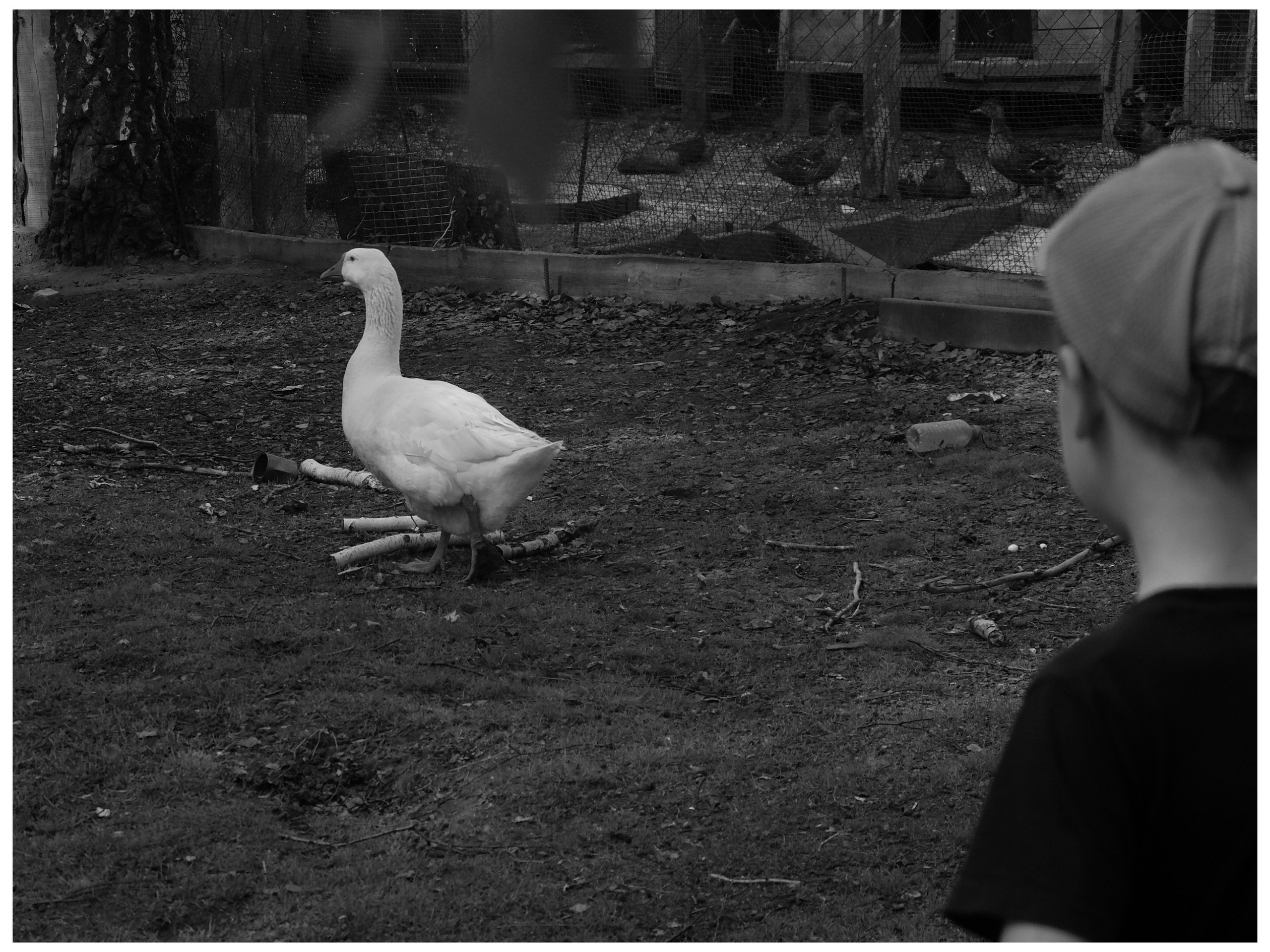 Промежуточные моменты (2022)