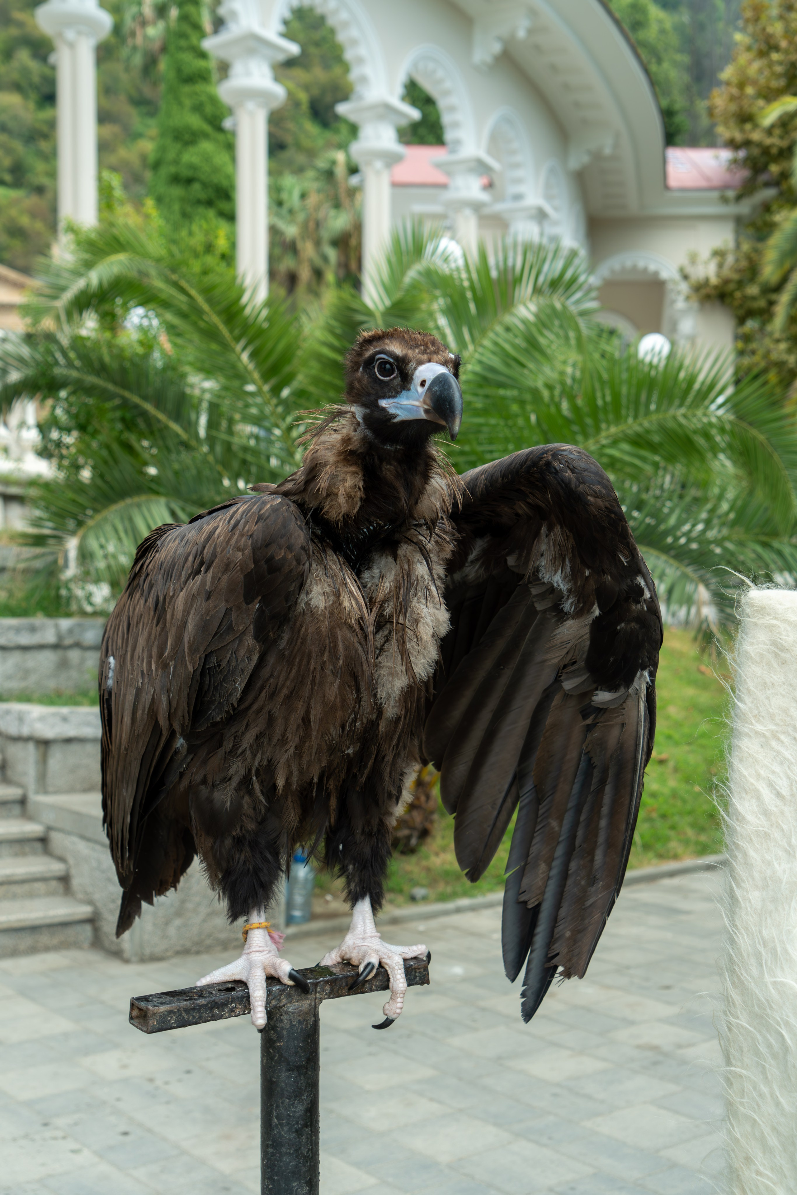 MICE мероприятие — тур по Абхазии. Репортажный фотограф в Красной Поляне и Сочи Павлюченко Екатерина