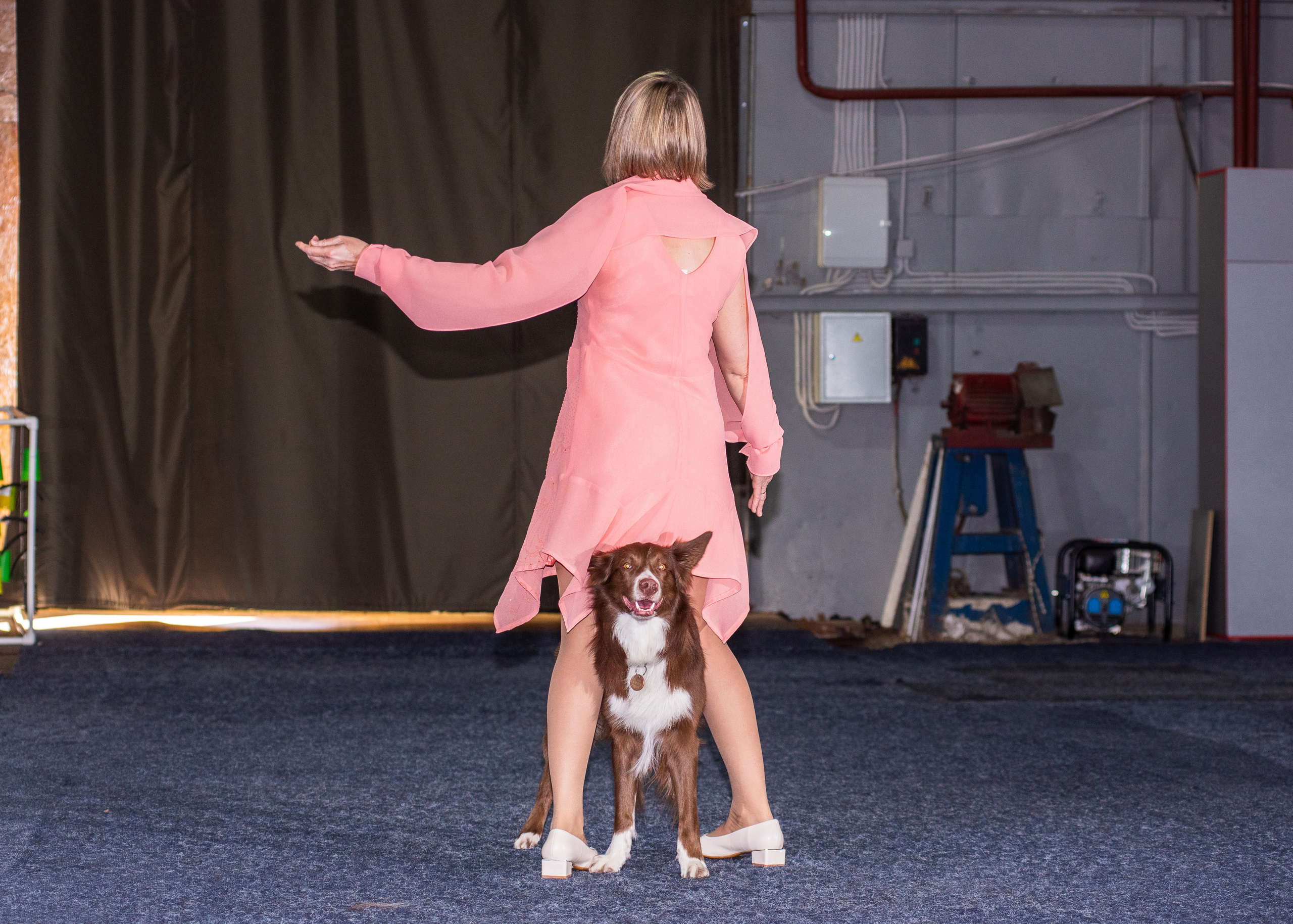 Танцы с собаками!. Дог-фотограф в Тюмени Александра Королева