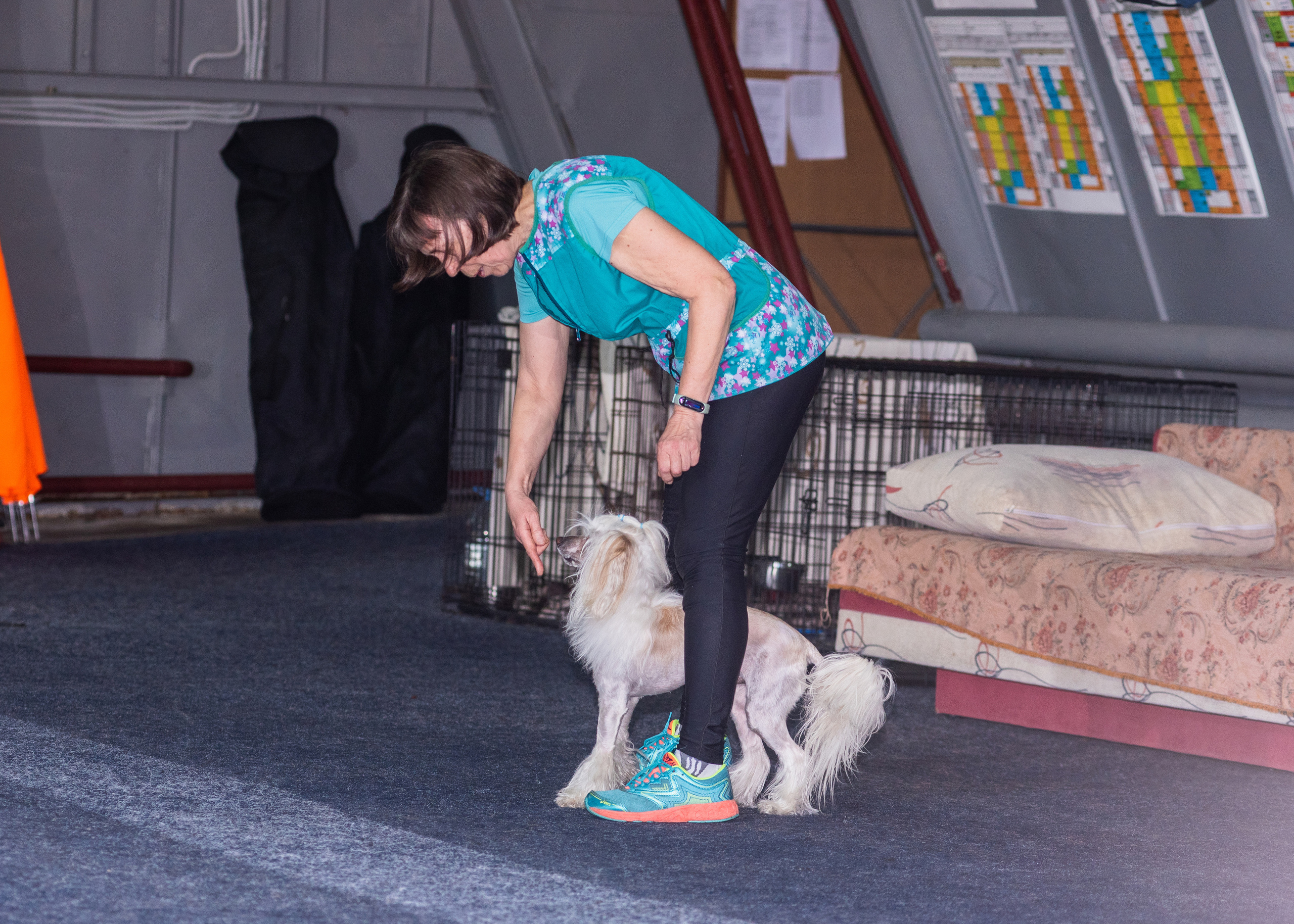 Танцы с собаками!. Дог-фотограф в Тюмени Александра Королева