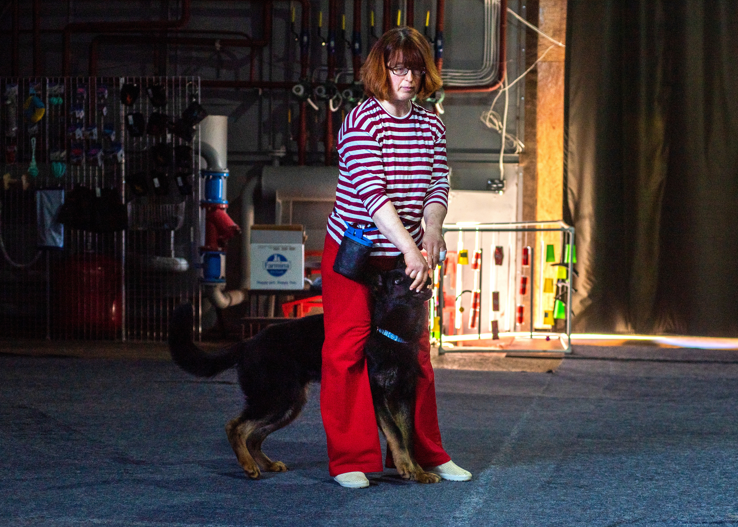 Танцы с собаками!. Дог-фотограф в Тюмени Александра Королева