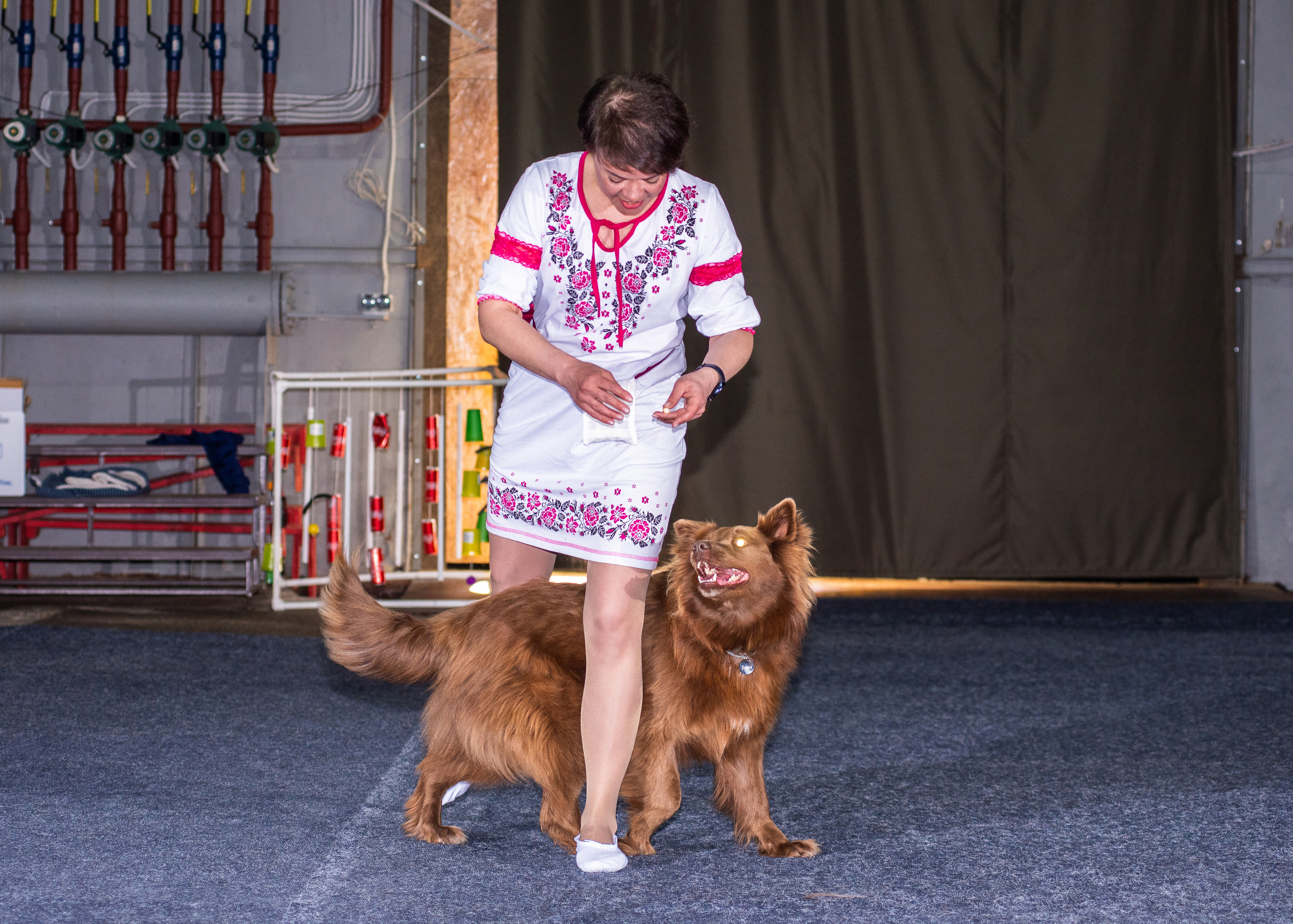 Танцы с собаками!. Дог-фотограф в Тюмени Александра Королева