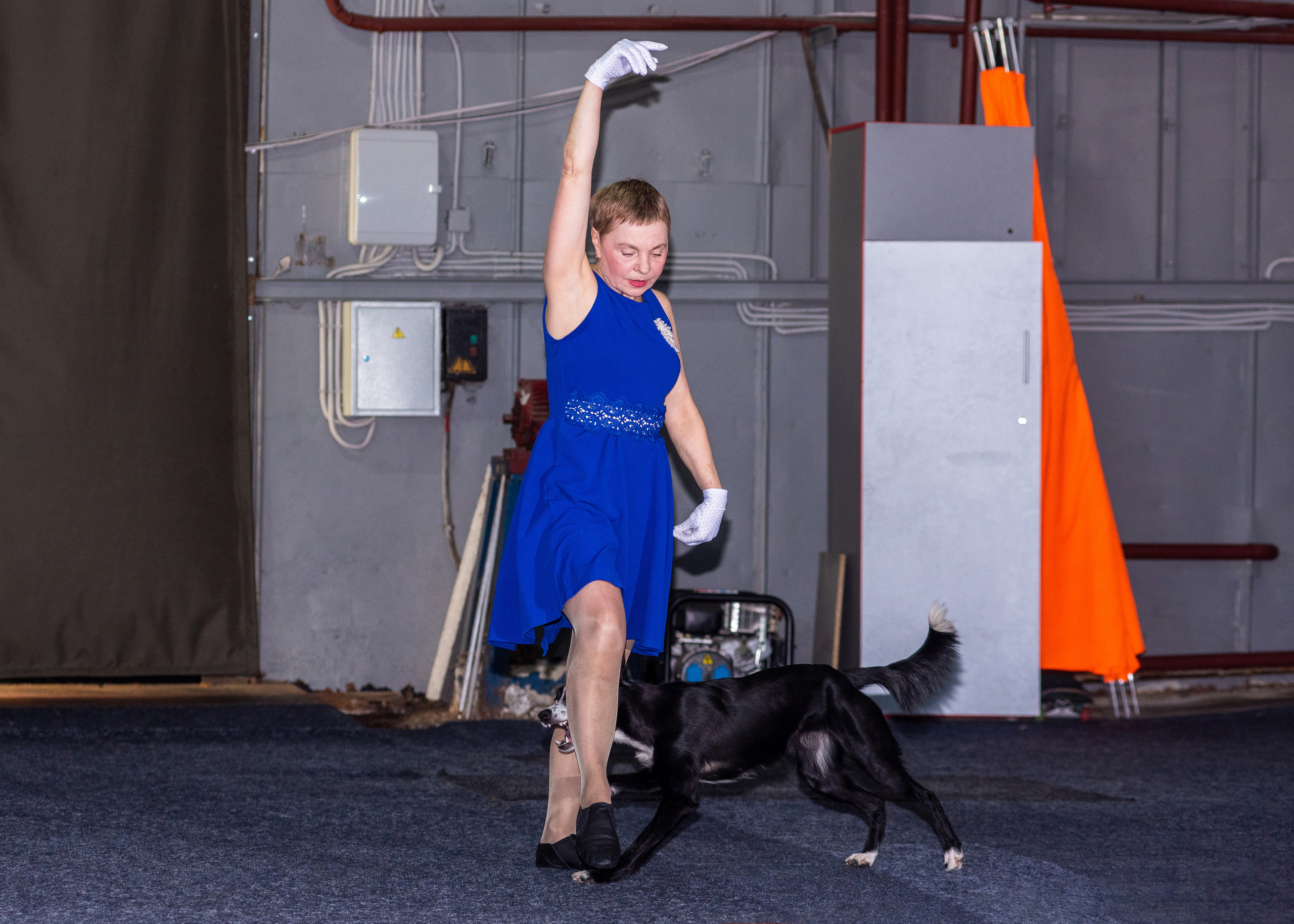 Танцы с собаками!. Дог-фотограф в Тюмени Александра Королева