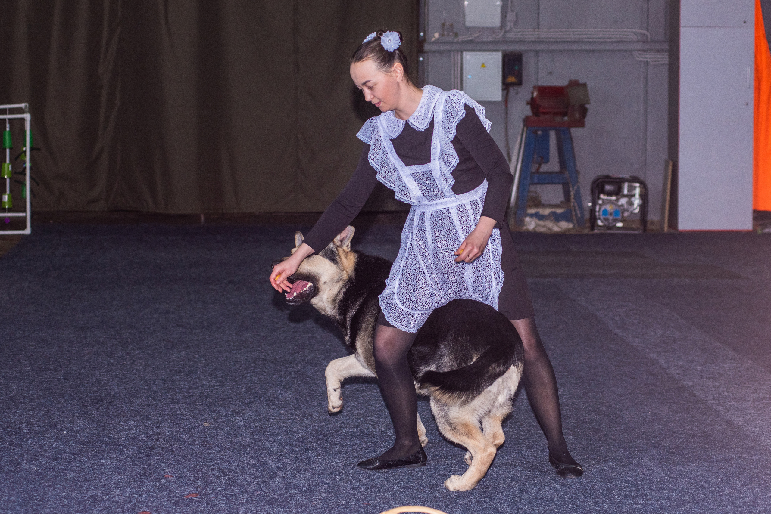 Танцы с собаками!. Дог-фотограф в Тюмени Александра Королева