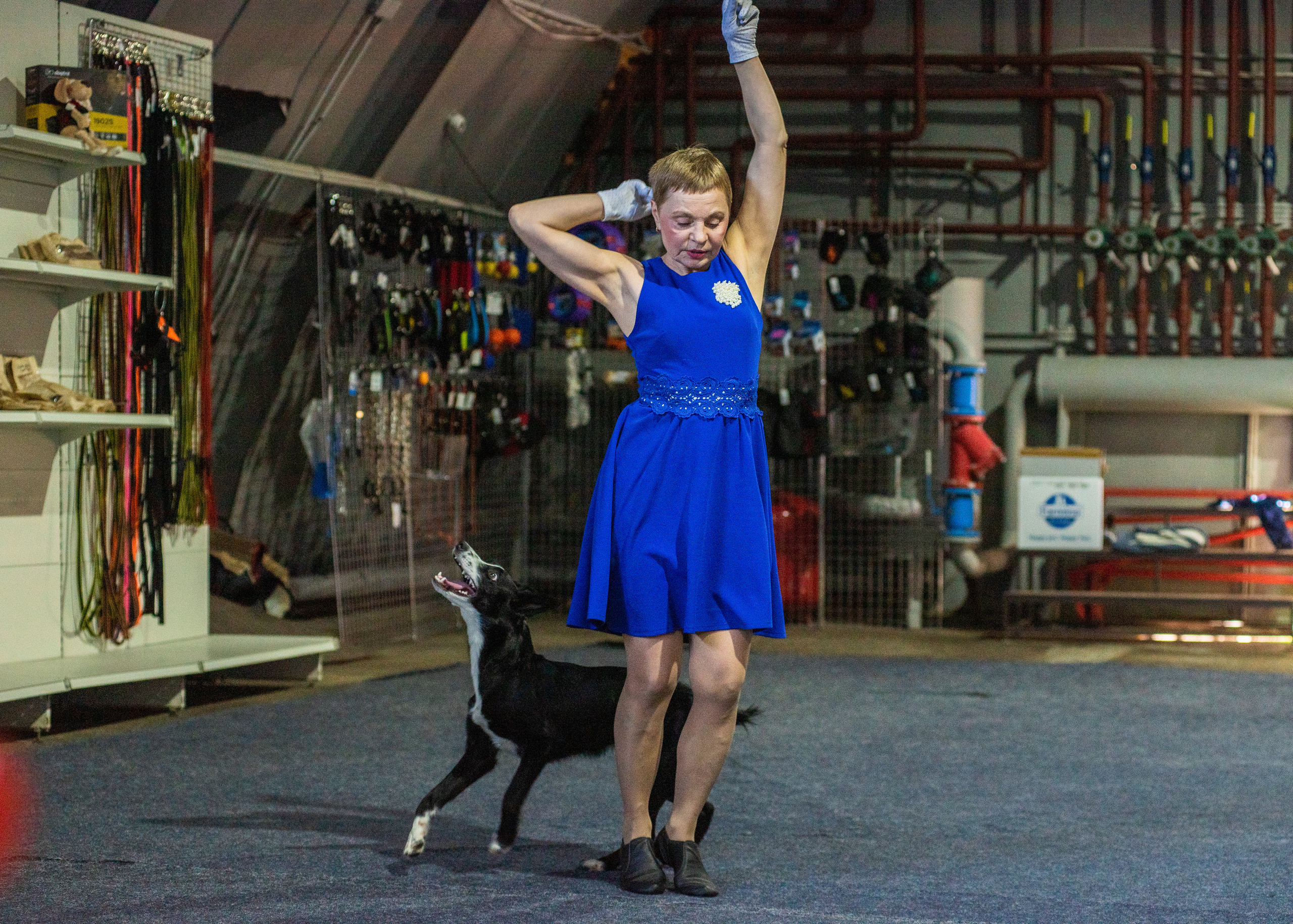 Танцы с собаками!. Дог-фотограф в Тюмени Александра Королева