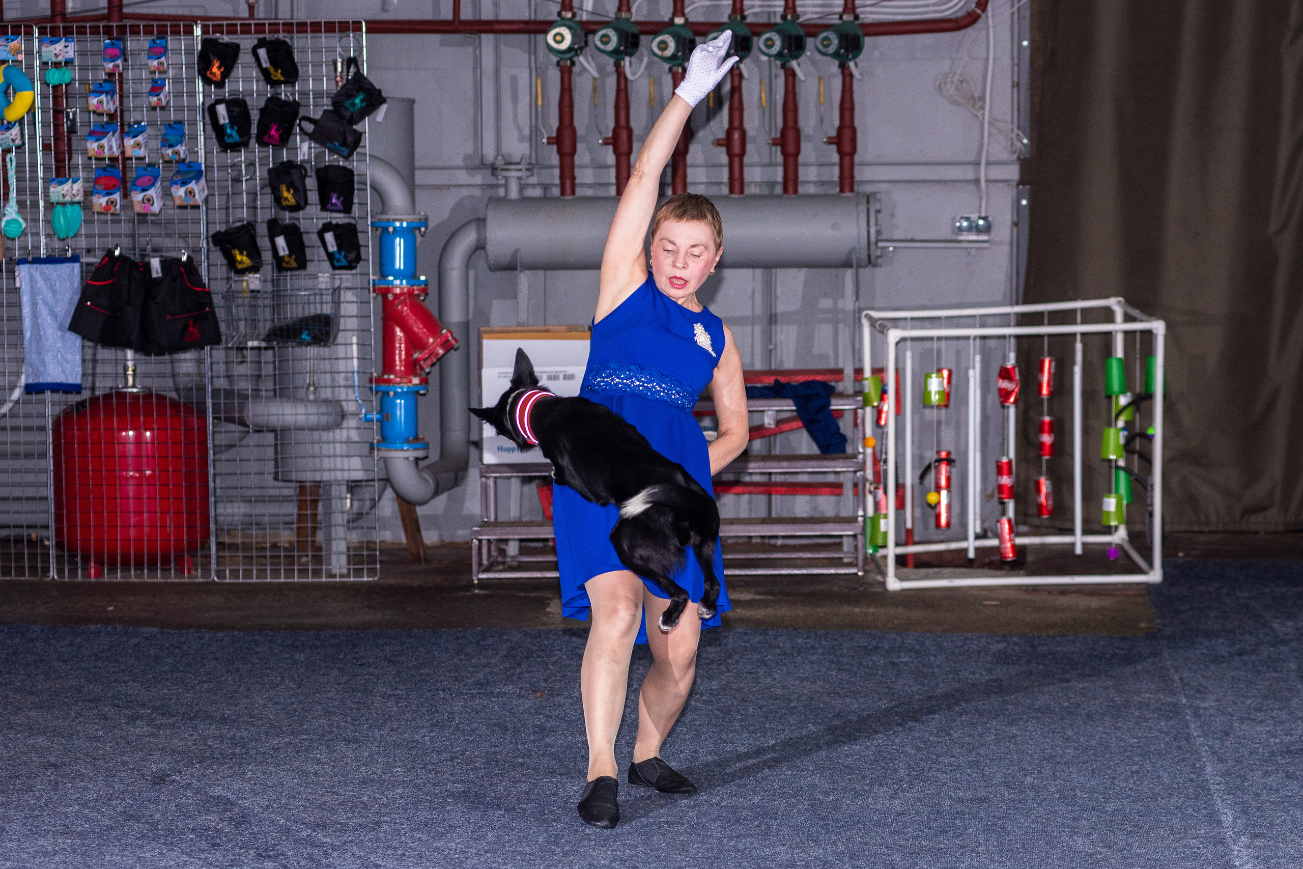 Танцы с собаками!. Дог-фотограф в Тюмени Александра Королева
