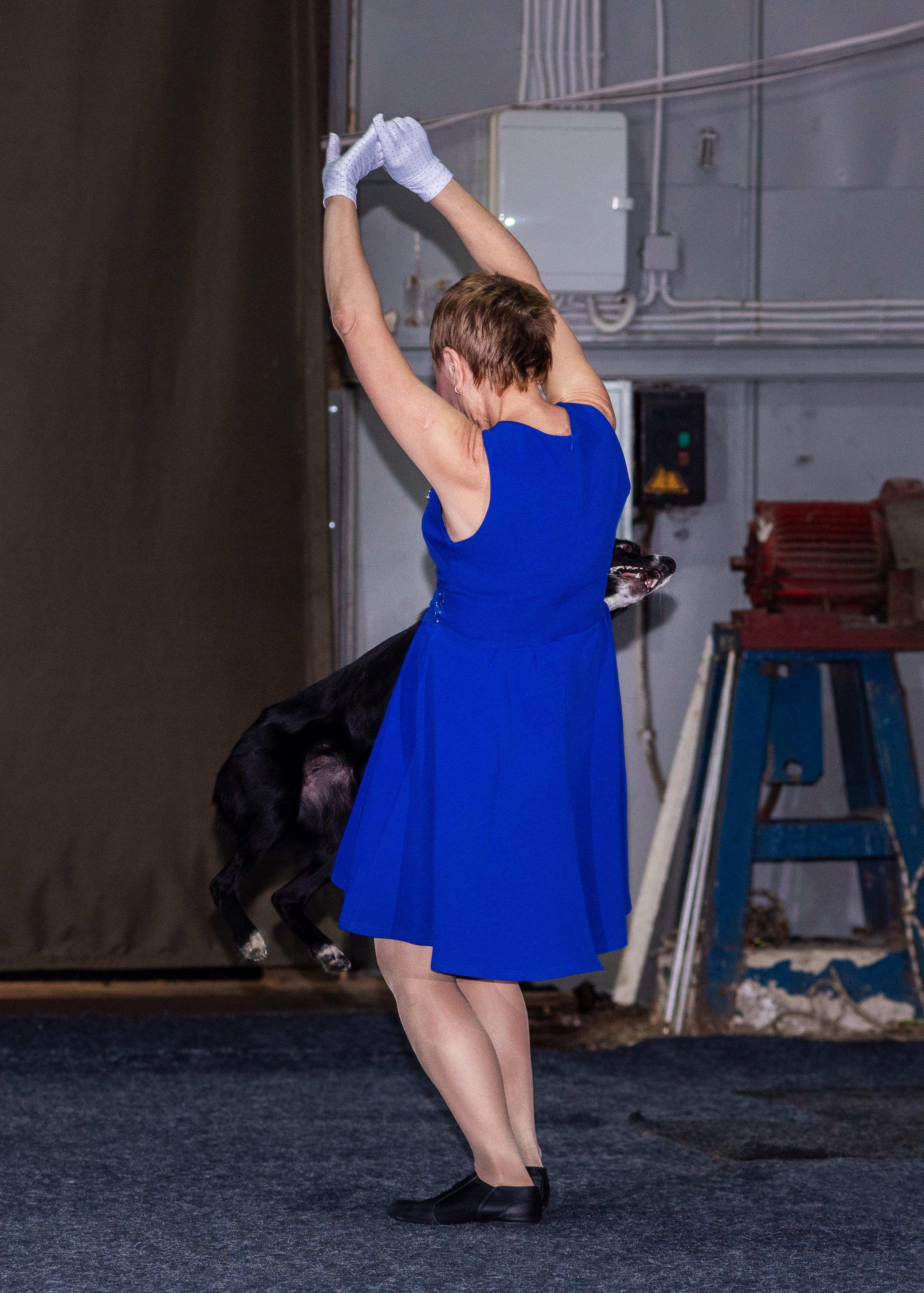 Танцы с собаками!. Дог-фотограф в Тюмени Александра Королева