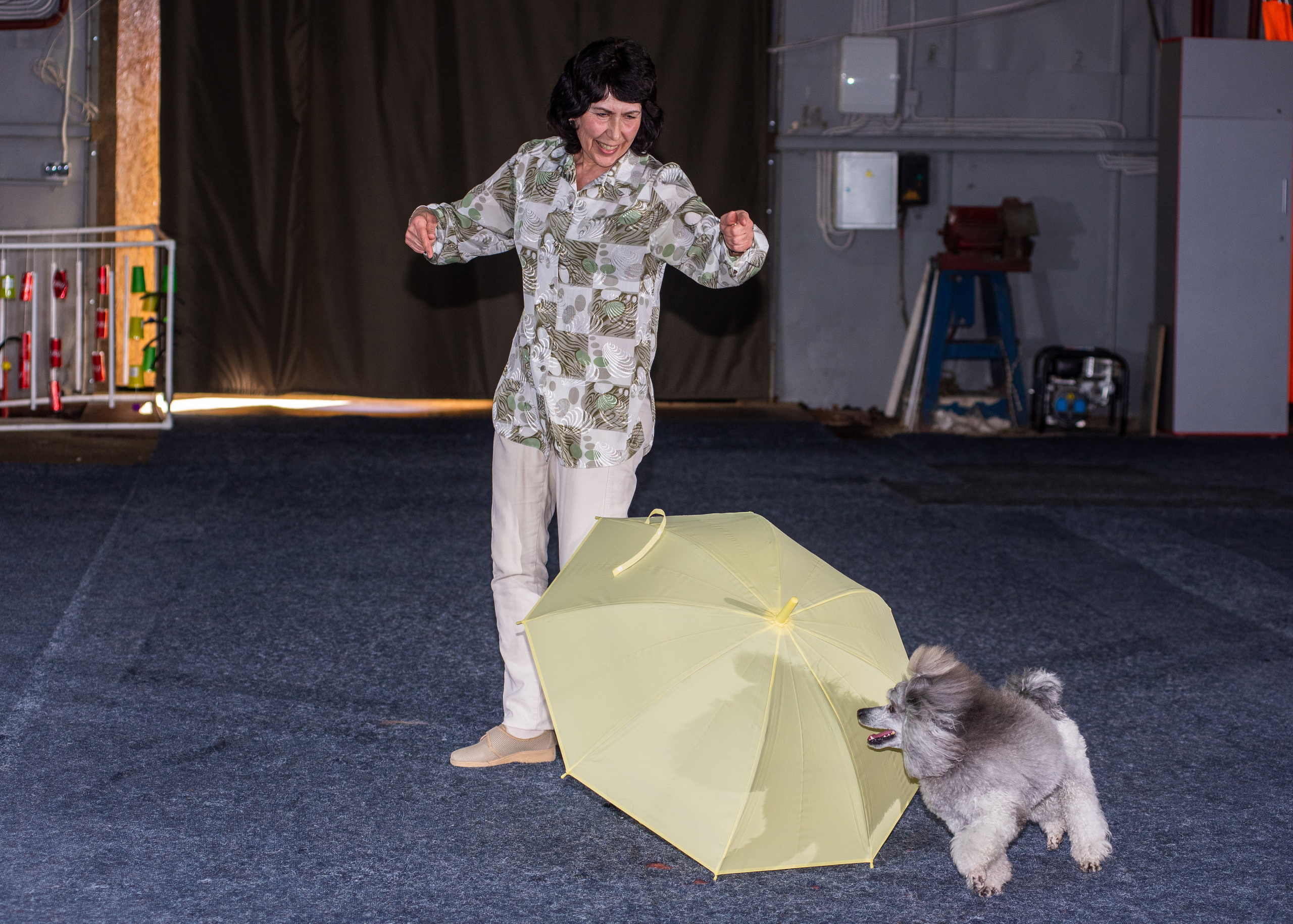 Танцы с собаками!. Дог-фотограф в Тюмени Александра Королева