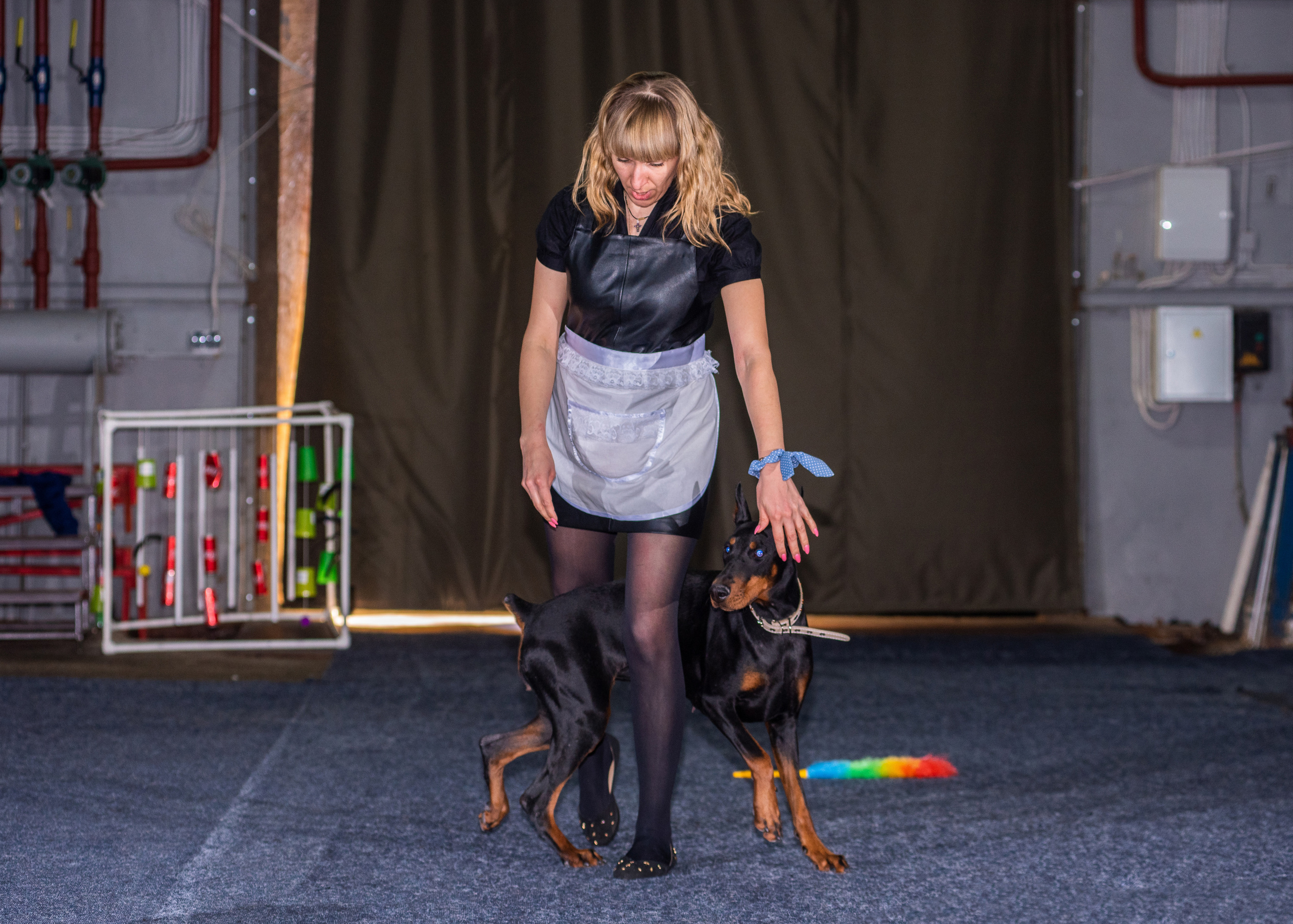 Танцы с собаками!. Дог-фотограф в Тюмени Александра Королева