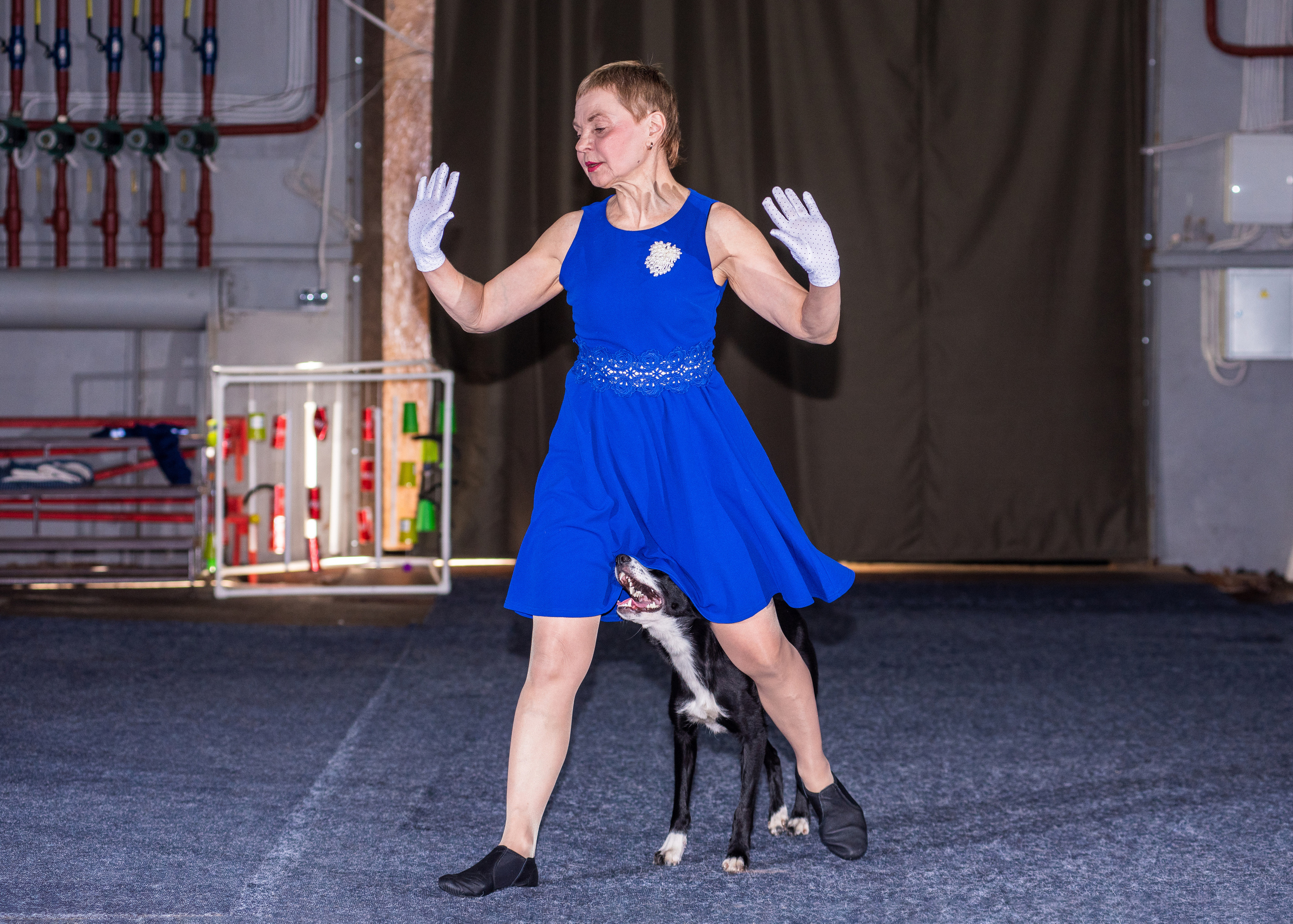 Танцы с собаками!. Дог-фотограф в Тюмени Александра Королева