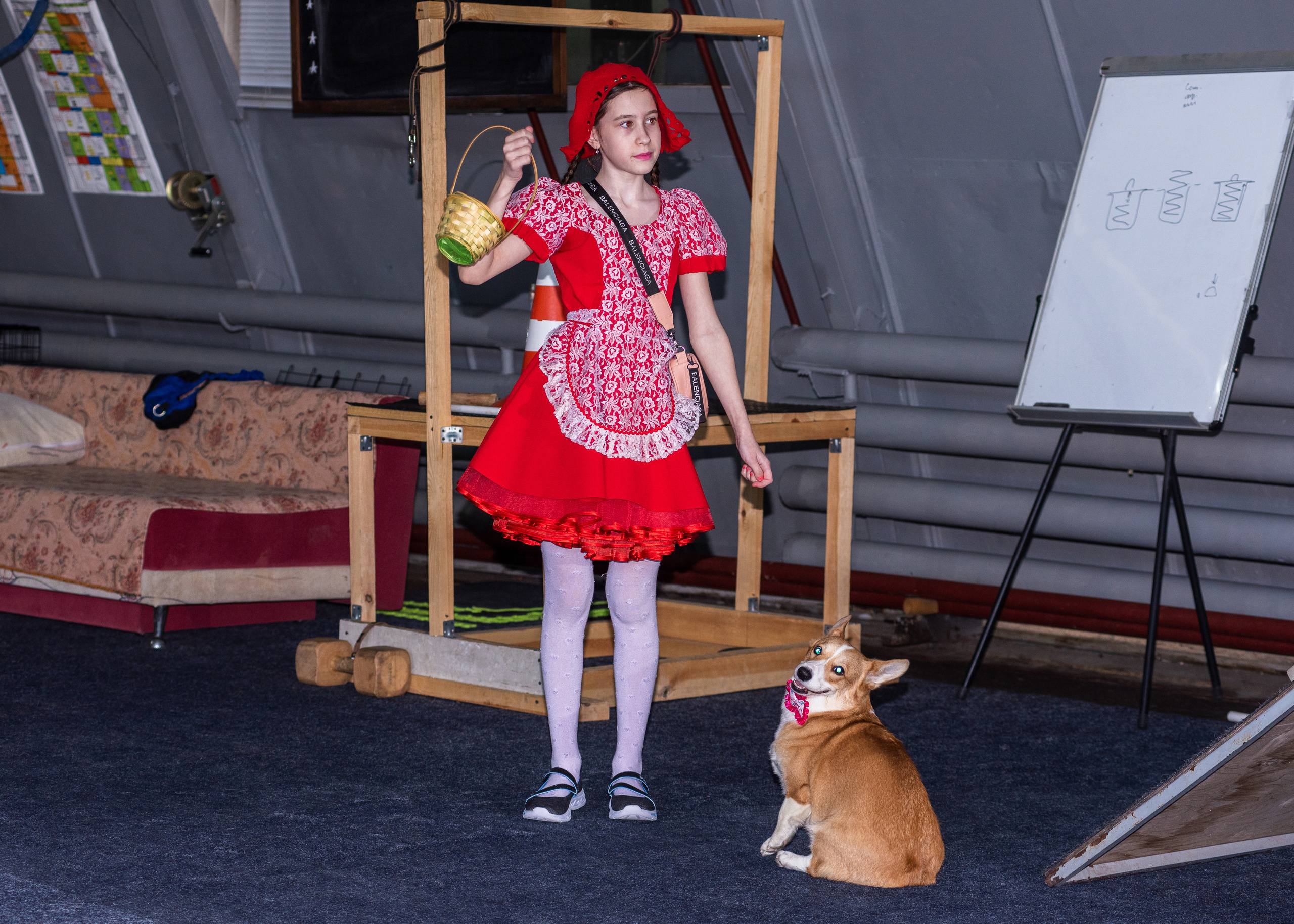 Танцы с собаками!. Дог-фотограф в Тюмени Александра Королева