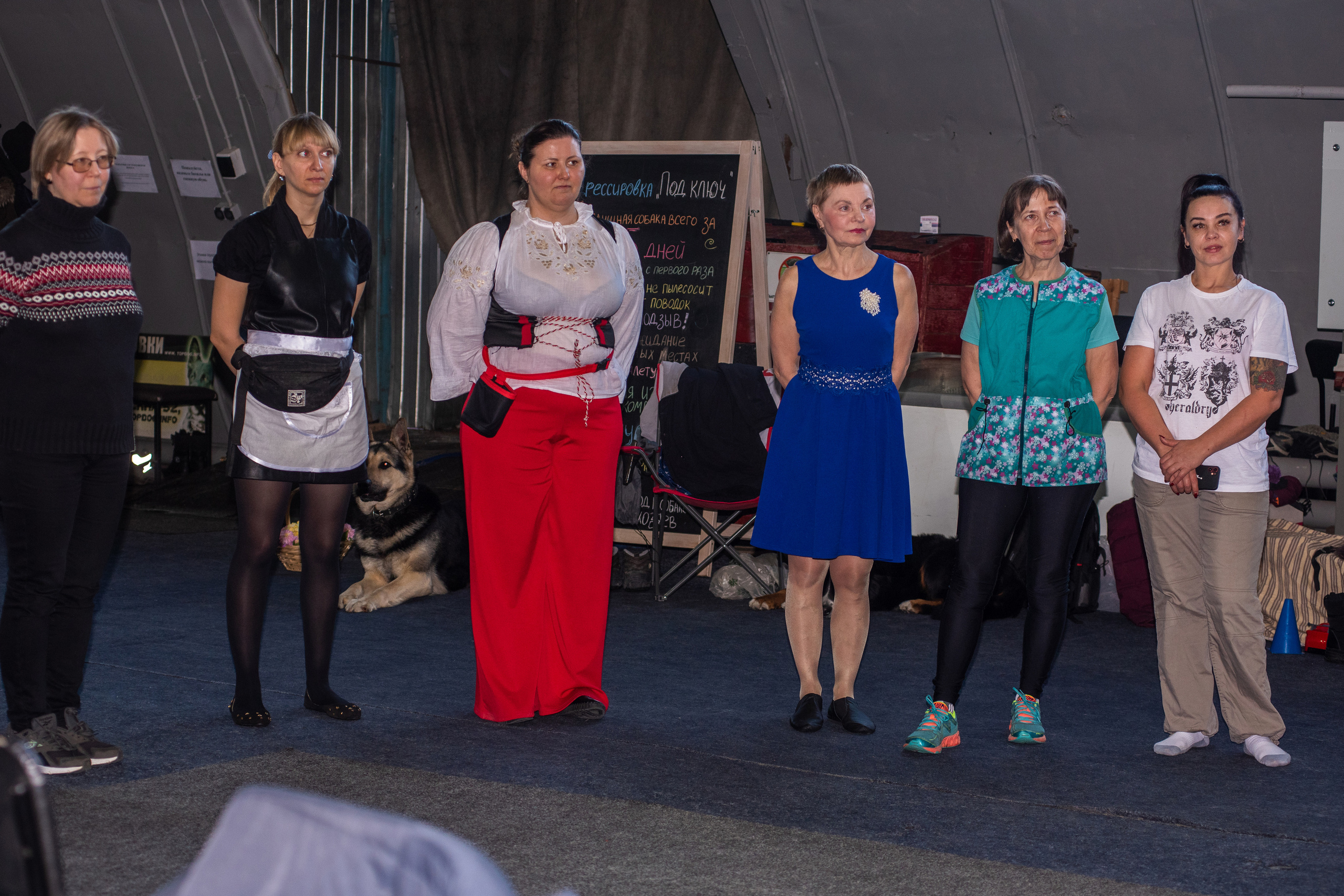 Танцы с собаками!. Дог-фотограф в Тюмени Александра Королева