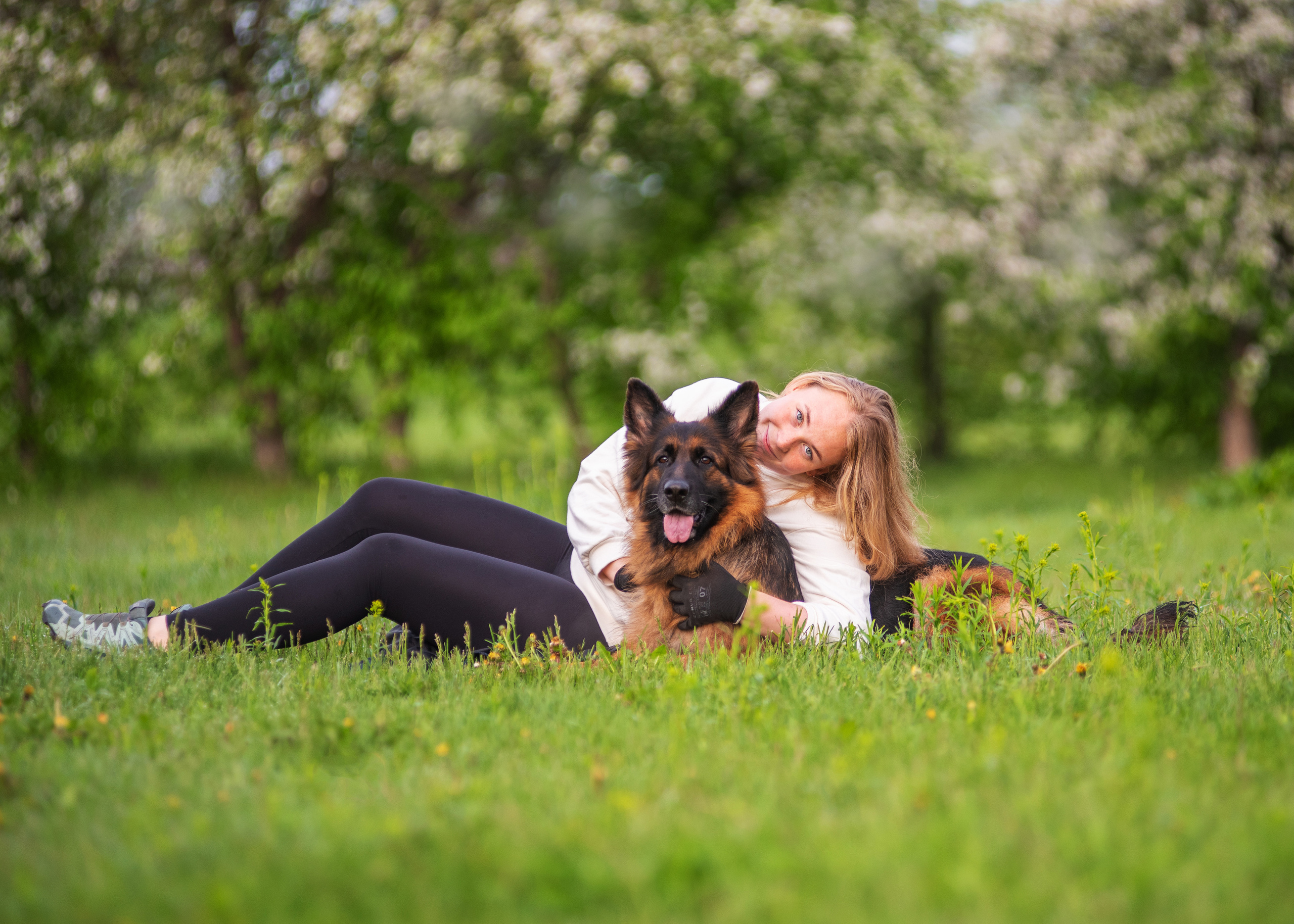 Овчарка в яблонях. Дог-фотограф в Тюмени Александра Королева