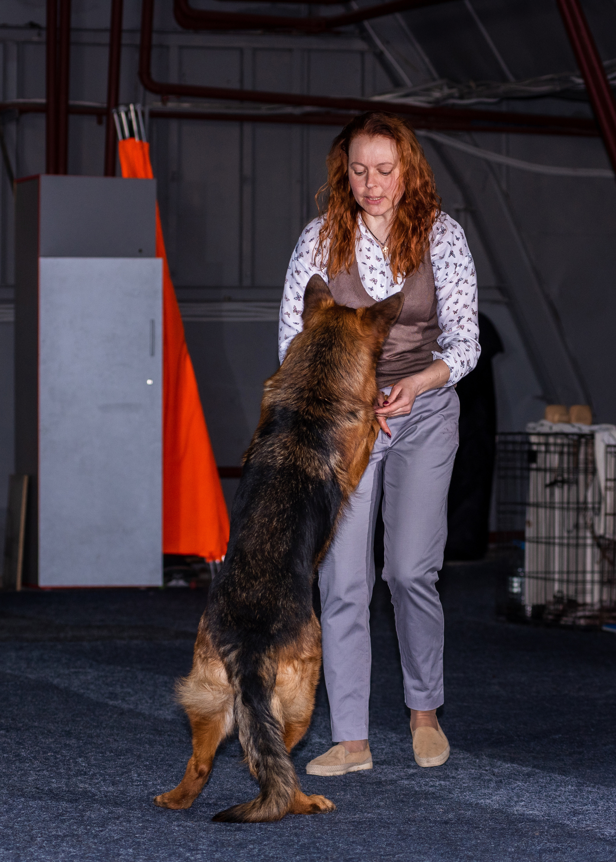 Танцы с собаками!. Дог-фотограф в Тюмени Александра Королева