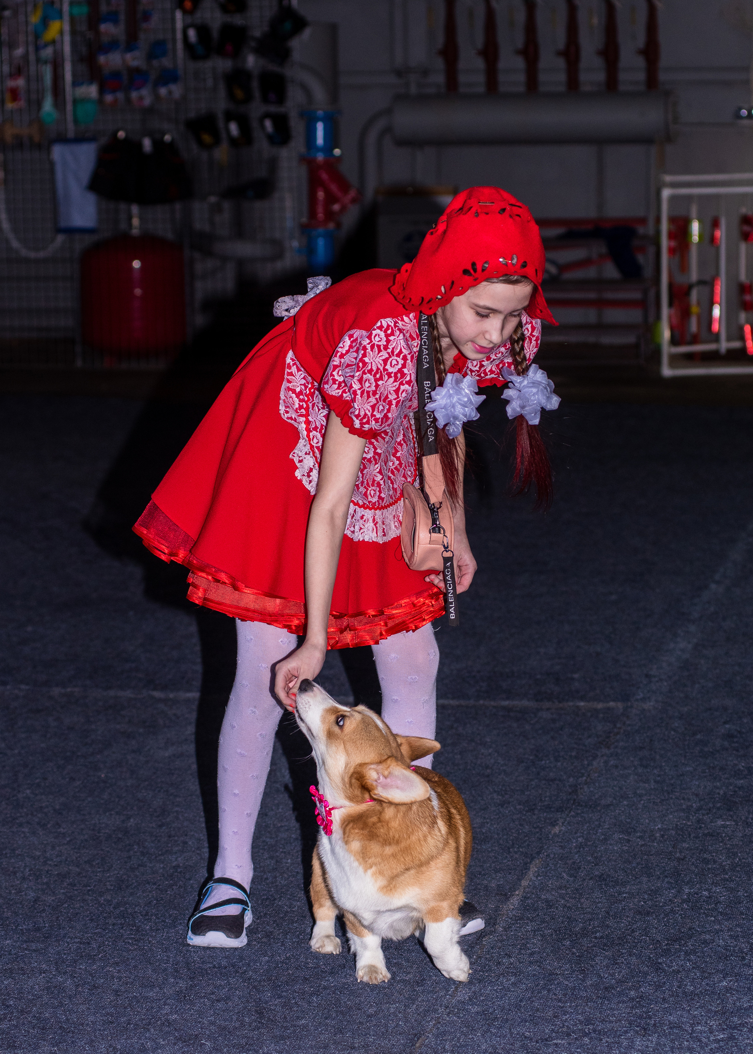 Танцы с собаками!. Дог-фотограф в Тюмени Александра Королева