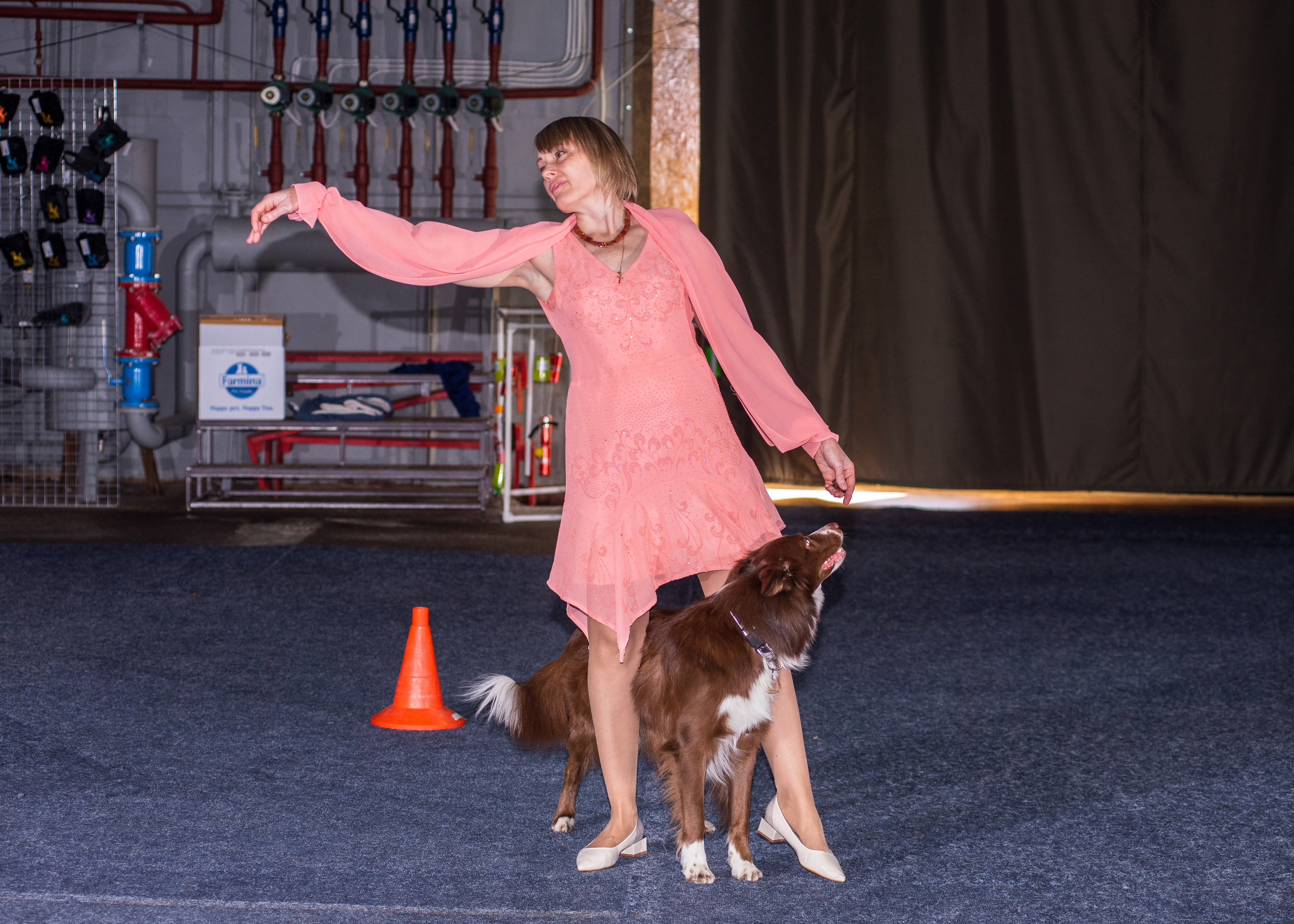 Танцы с собаками!. Дог-фотограф в Тюмени Александра Королева