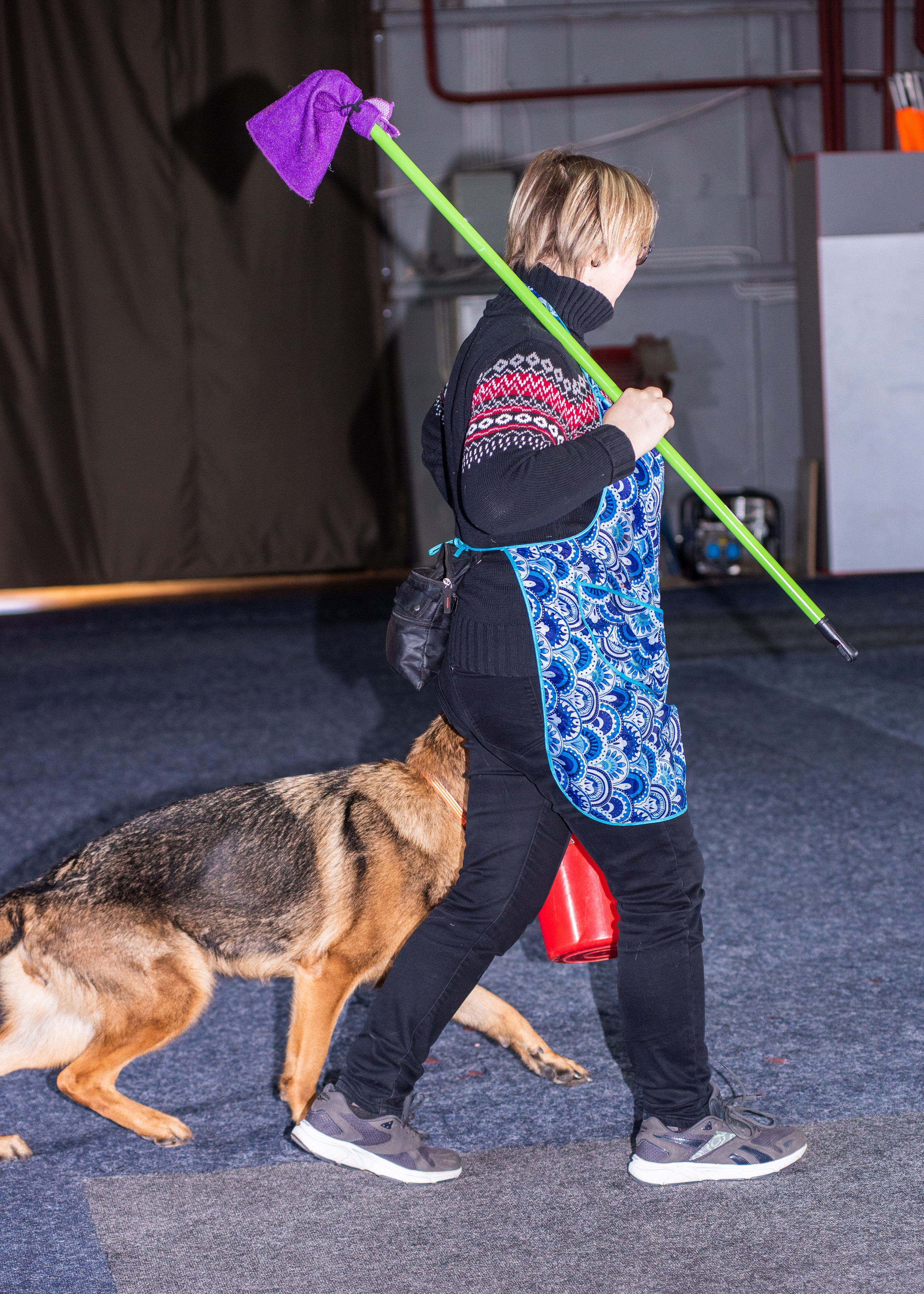 Танцы с собаками!. Дог-фотограф в Тюмени Александра Королева