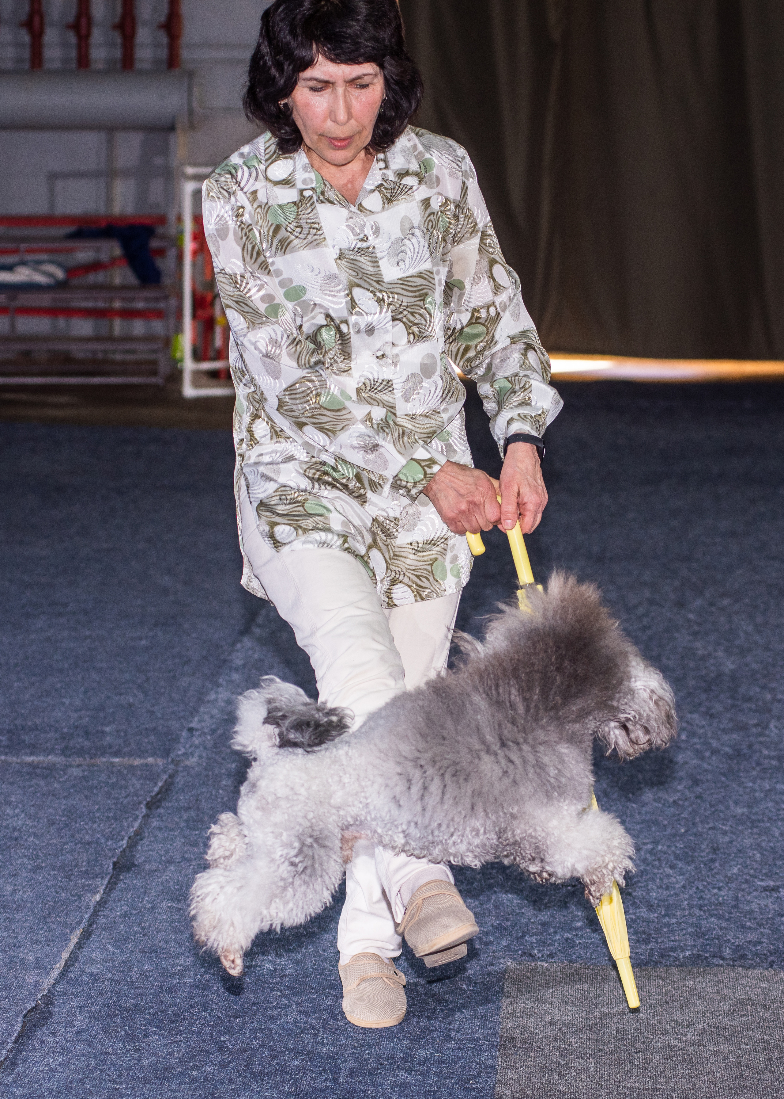 Танцы с собаками!. Дог-фотограф в Тюмени Александра Королева