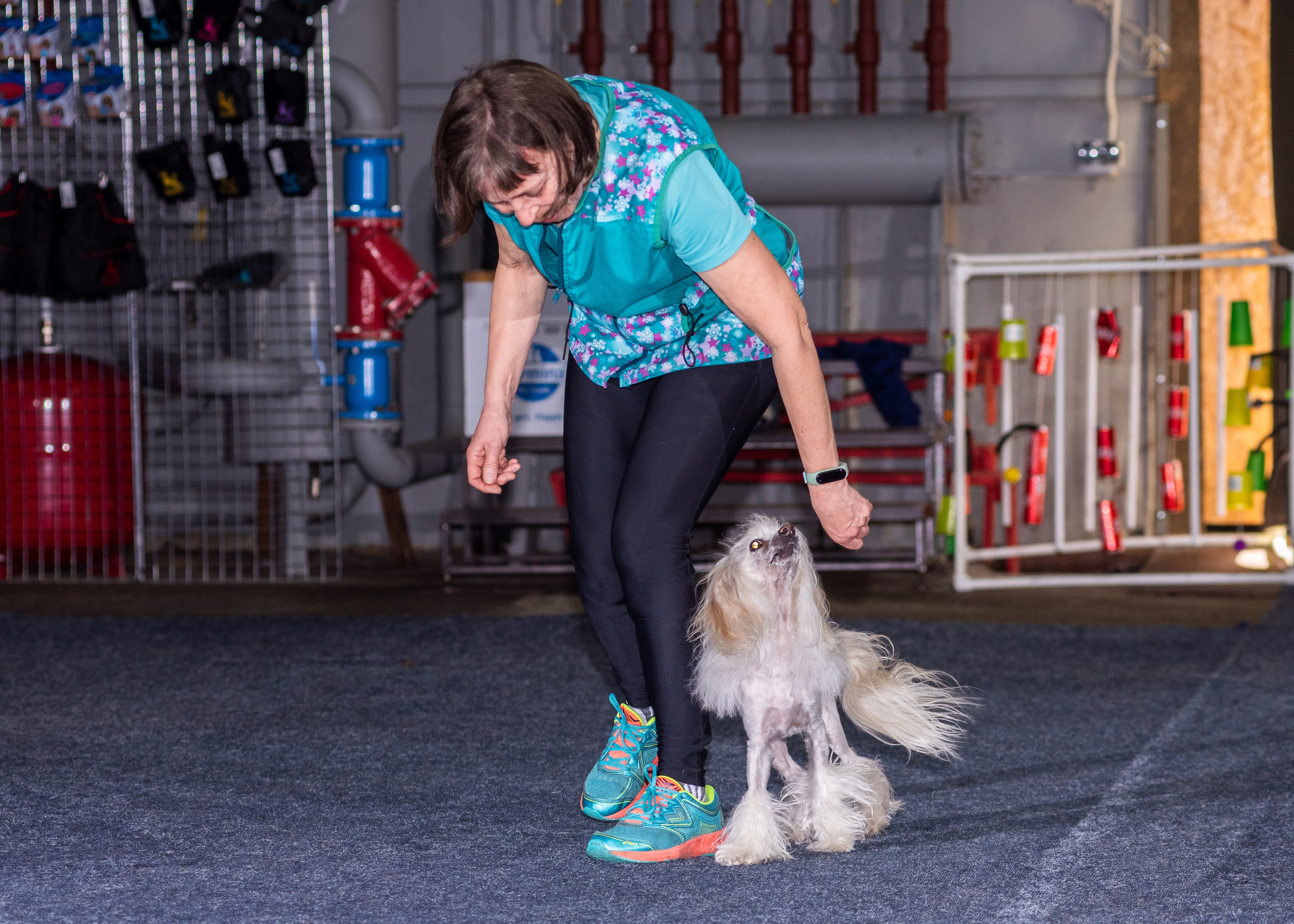 Танцы с собаками!. Дог-фотограф в Тюмени Александра Королева
