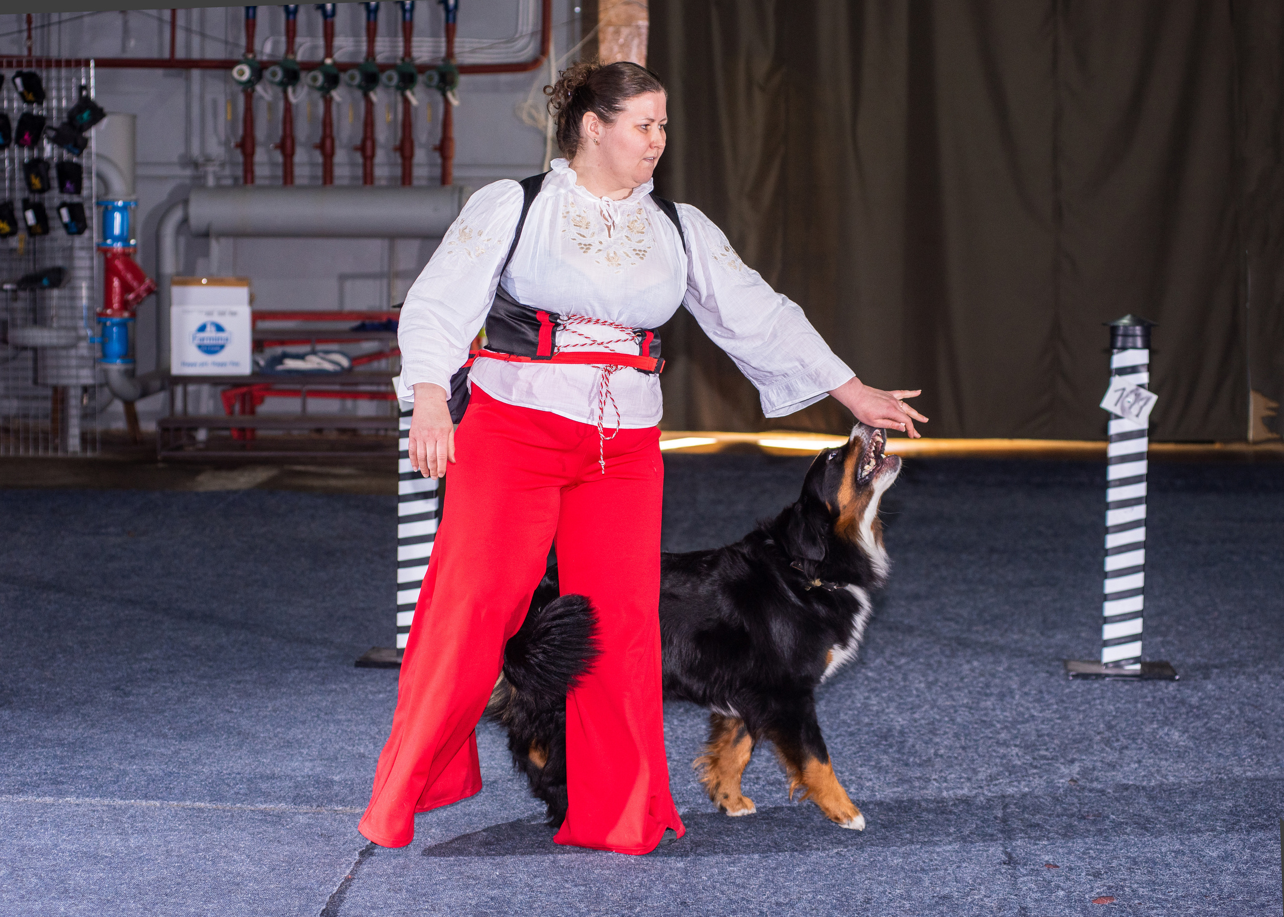 Танцы с собаками!. Дог-фотограф в Тюмени Александра Королева