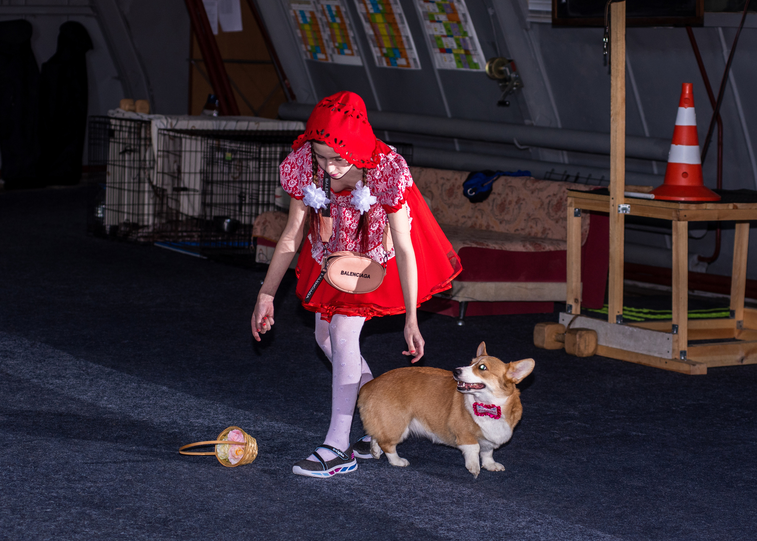 Танцы с собаками!. Дог-фотограф в Тюмени Александра Королева