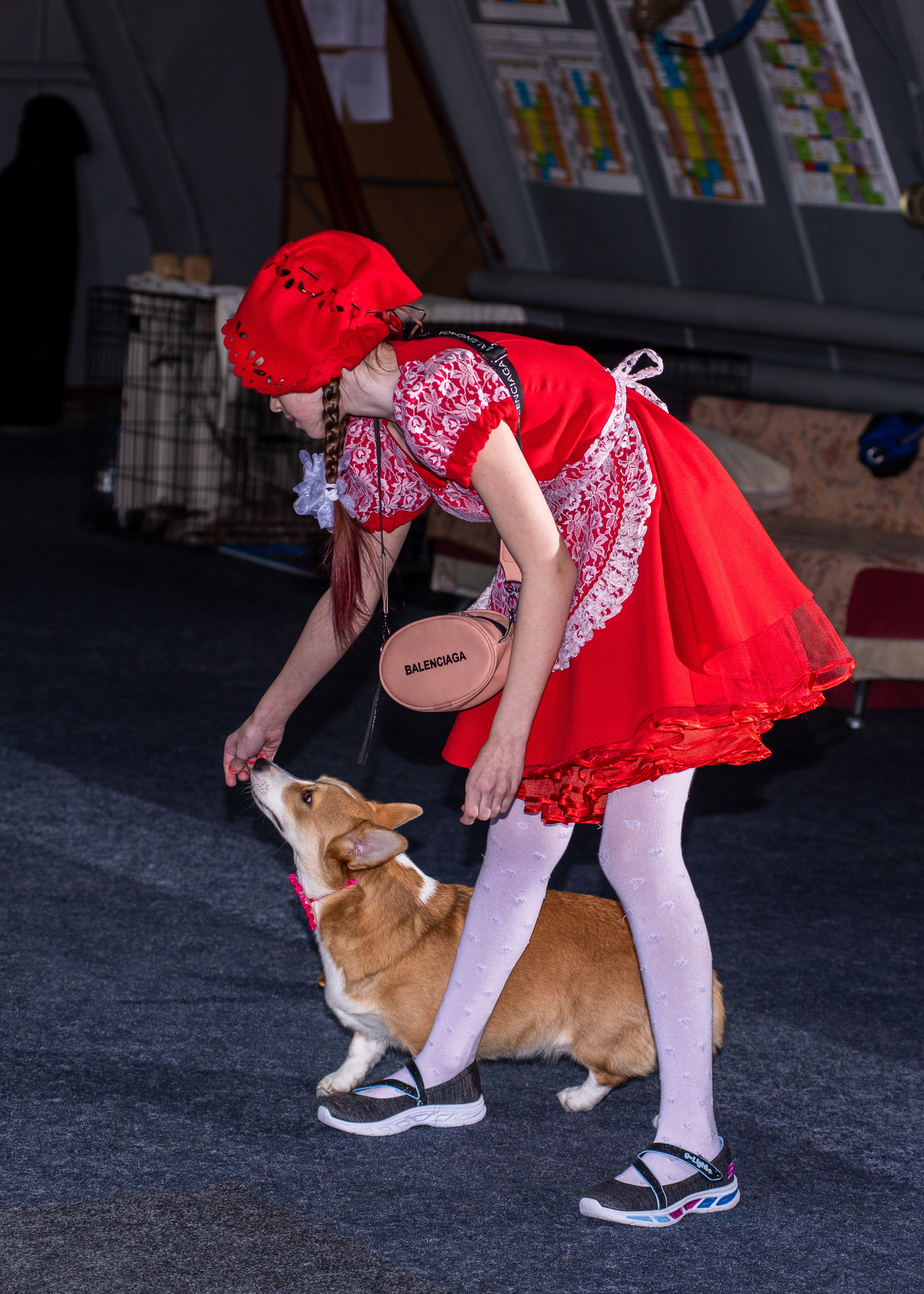 Танцы с собаками!. Дог-фотограф в Тюмени Александра Королева