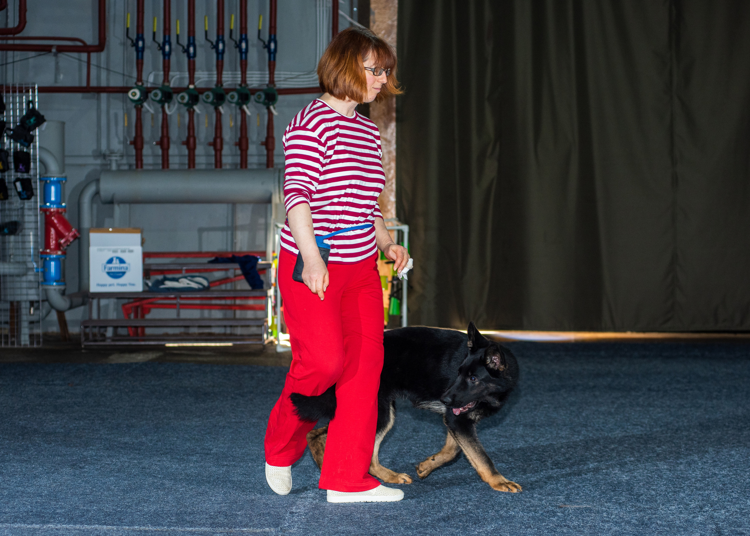 Танцы с собаками!. Дог-фотограф в Тюмени Александра Королева