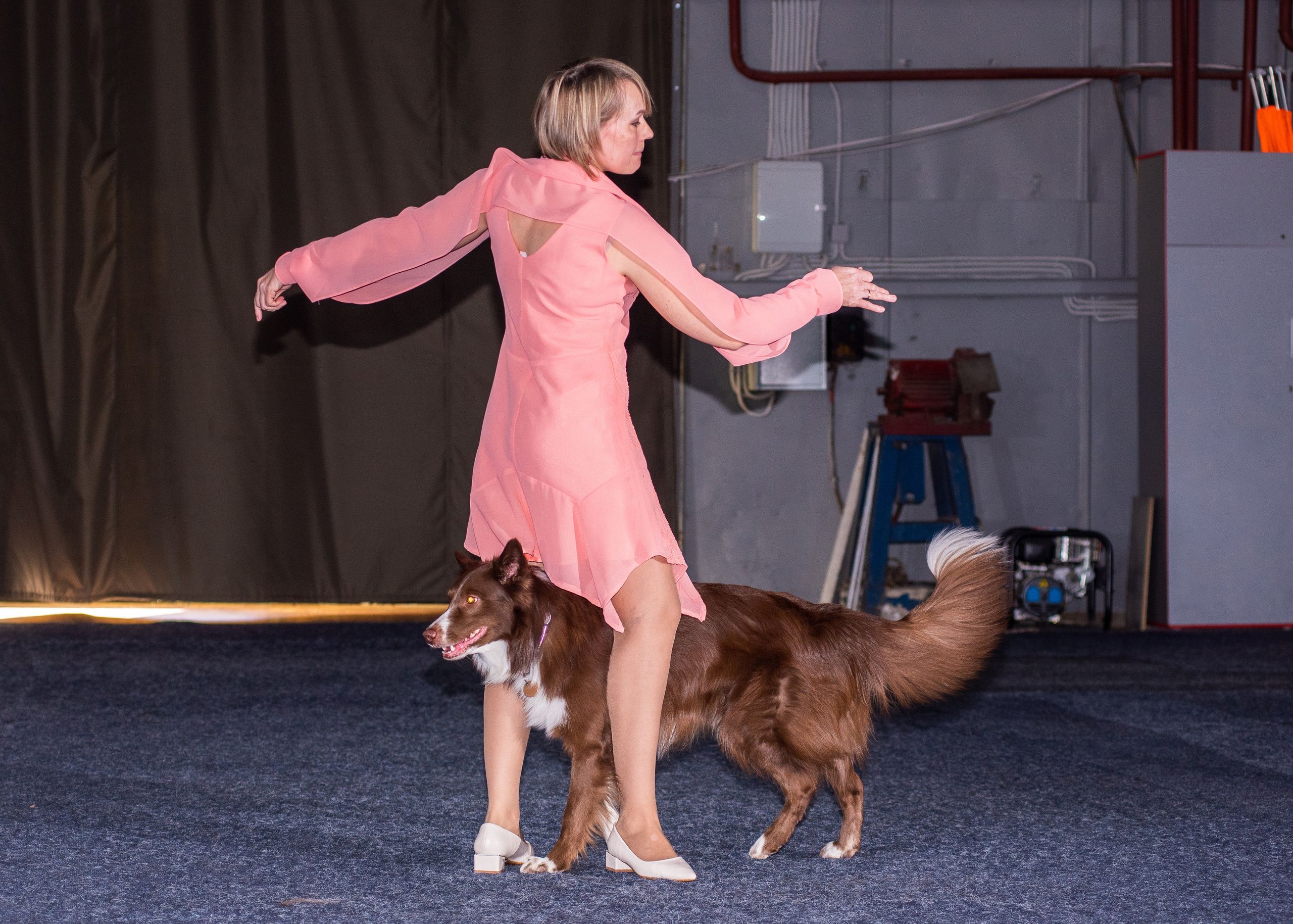 Танцы с собаками!. Дог-фотограф в Тюмени Александра Королева