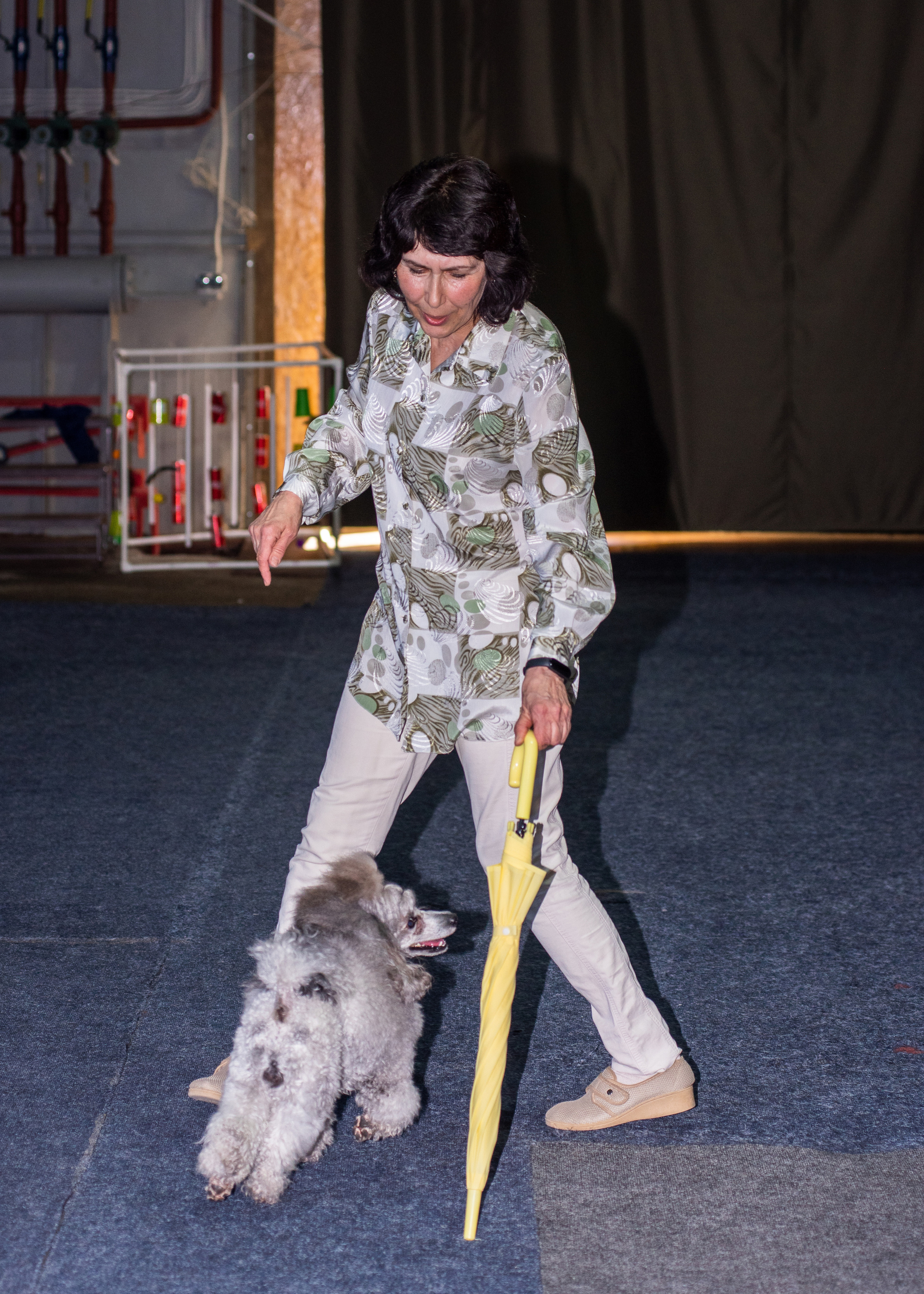Танцы с собаками!. Дог-фотограф в Тюмени Александра Королева