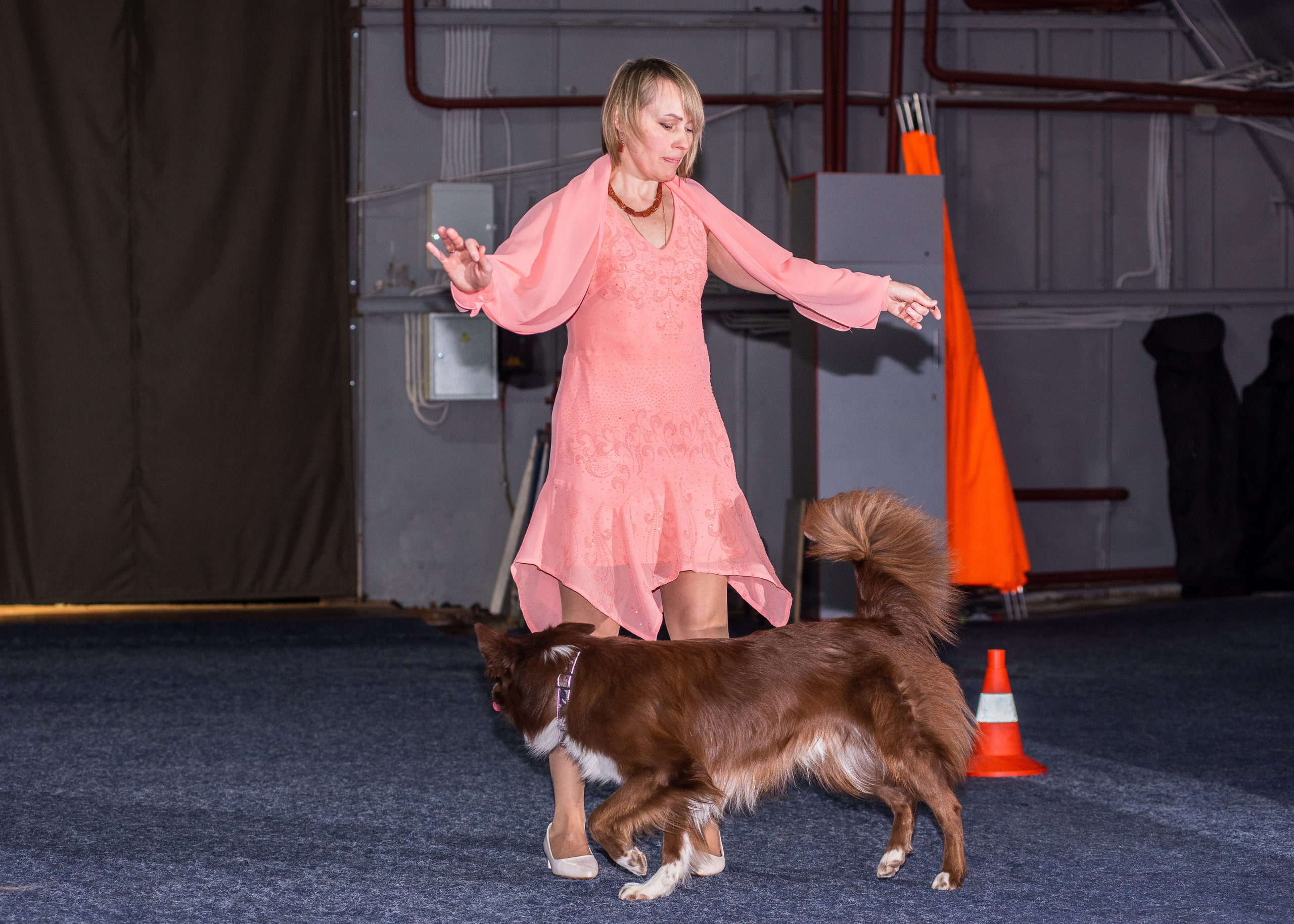 Танцы с собаками!. Дог-фотограф в Тюмени Александра Королева