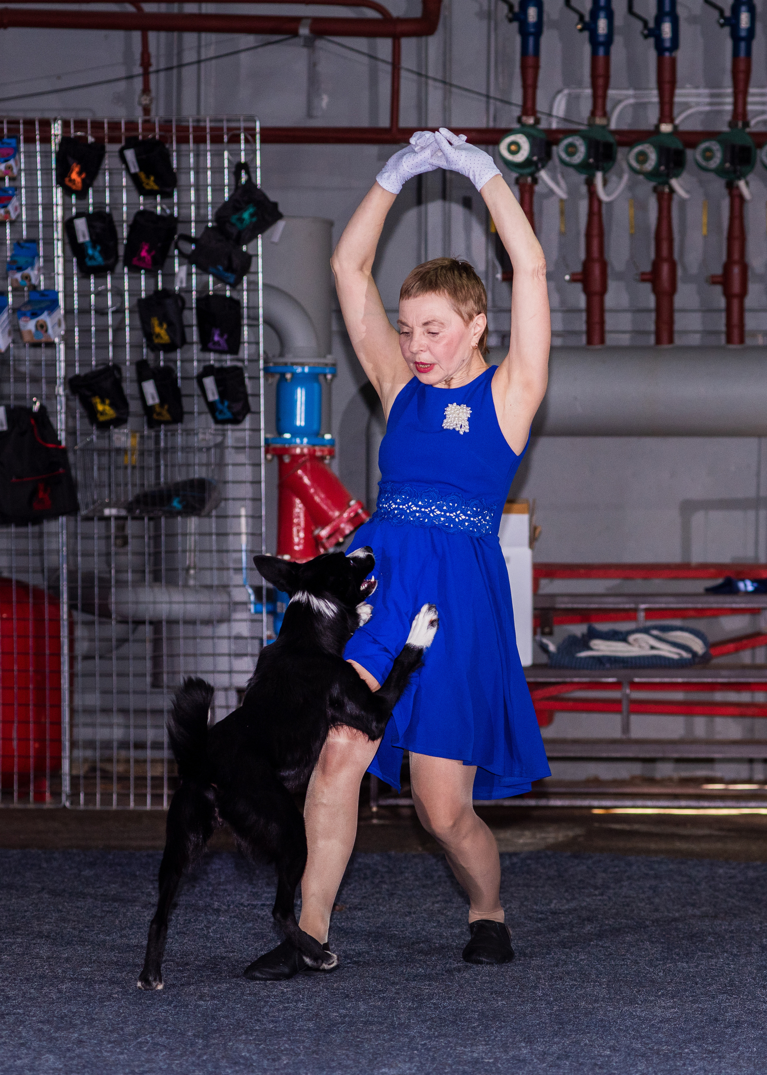Танцы с собаками!. Дог-фотограф в Тюмени Александра Королева