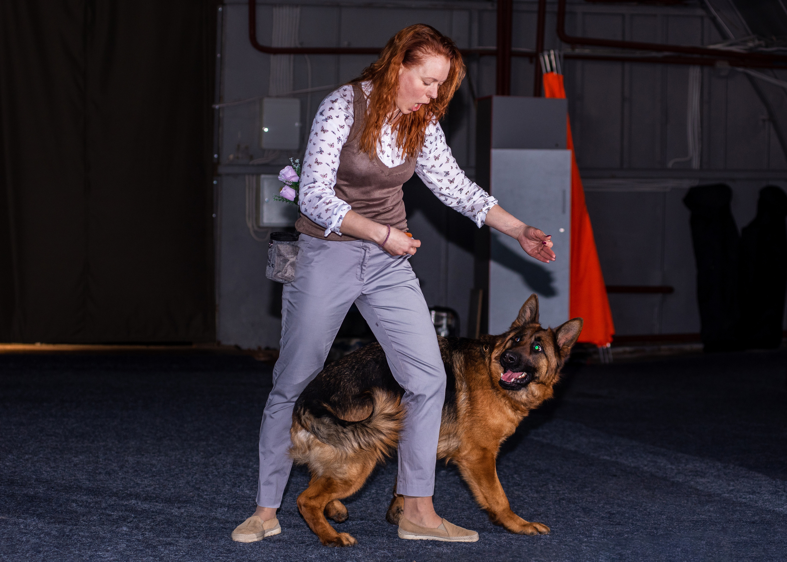 Танцы с собаками!. Дог-фотограф в Тюмени Александра Королева