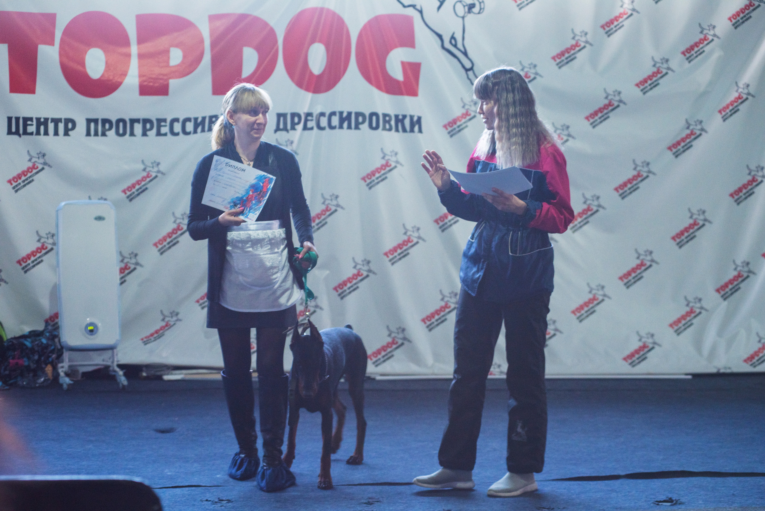 Танцы с собаками!. Дог-фотограф в Тюмени Александра Королева